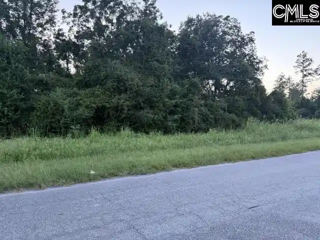 Photo 1 of Land for sale at 0 Angelica, Santee, SC 29142 | MLS# 641116 | Listing updated on 2026-09-11