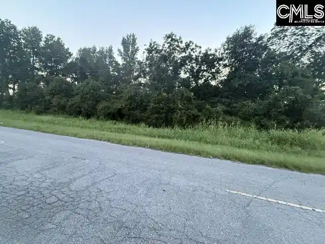 Photo 2 of Land for sale at 0 Angelica, Santee, SC 29142 | MLS# 641116 | Listing updated on 2026-09-11