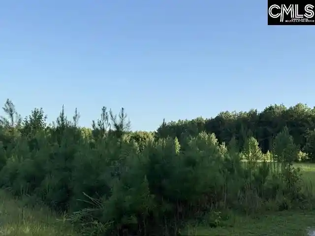 Photo 2 of Land for sale at 0 Charmaine, Orangeburg, SC 29118 | MLS# 641121 | Listing updated on 2026-08-19
