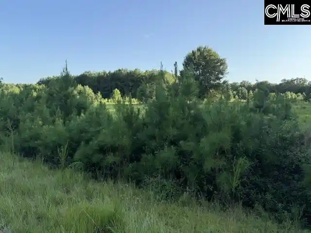 Photo 3 of Land for sale at 0 Charmaine, Orangeburg, SC 29118 | MLS# 641121 | Listing updated on 2026-08-19