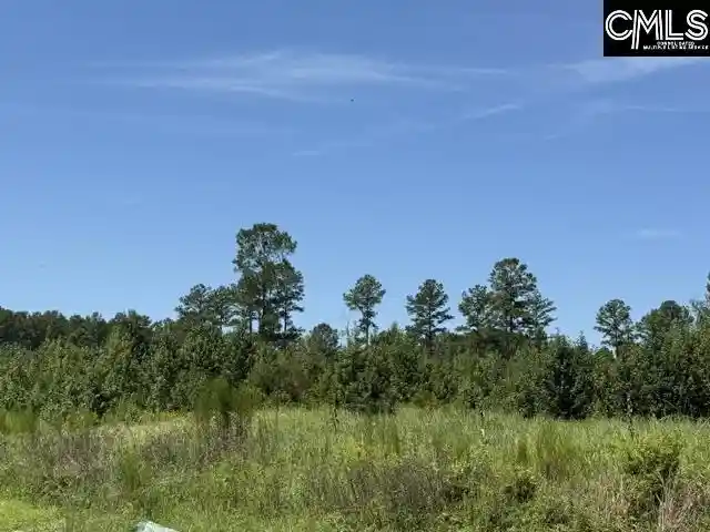 Photo 1 of Land for sale at 0 Lathan, Orangeburg, SC 29118 | MLS# 641128 | Listing updated on 2026-08-19