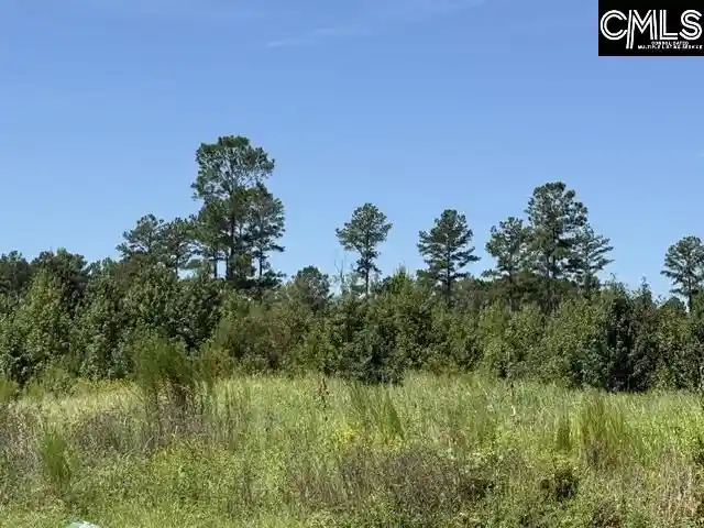 Photo 2 of Land for sale at 0 Lathan, Orangeburg, SC 29118 | MLS# 641128 | Listing updated on 2026-08-19