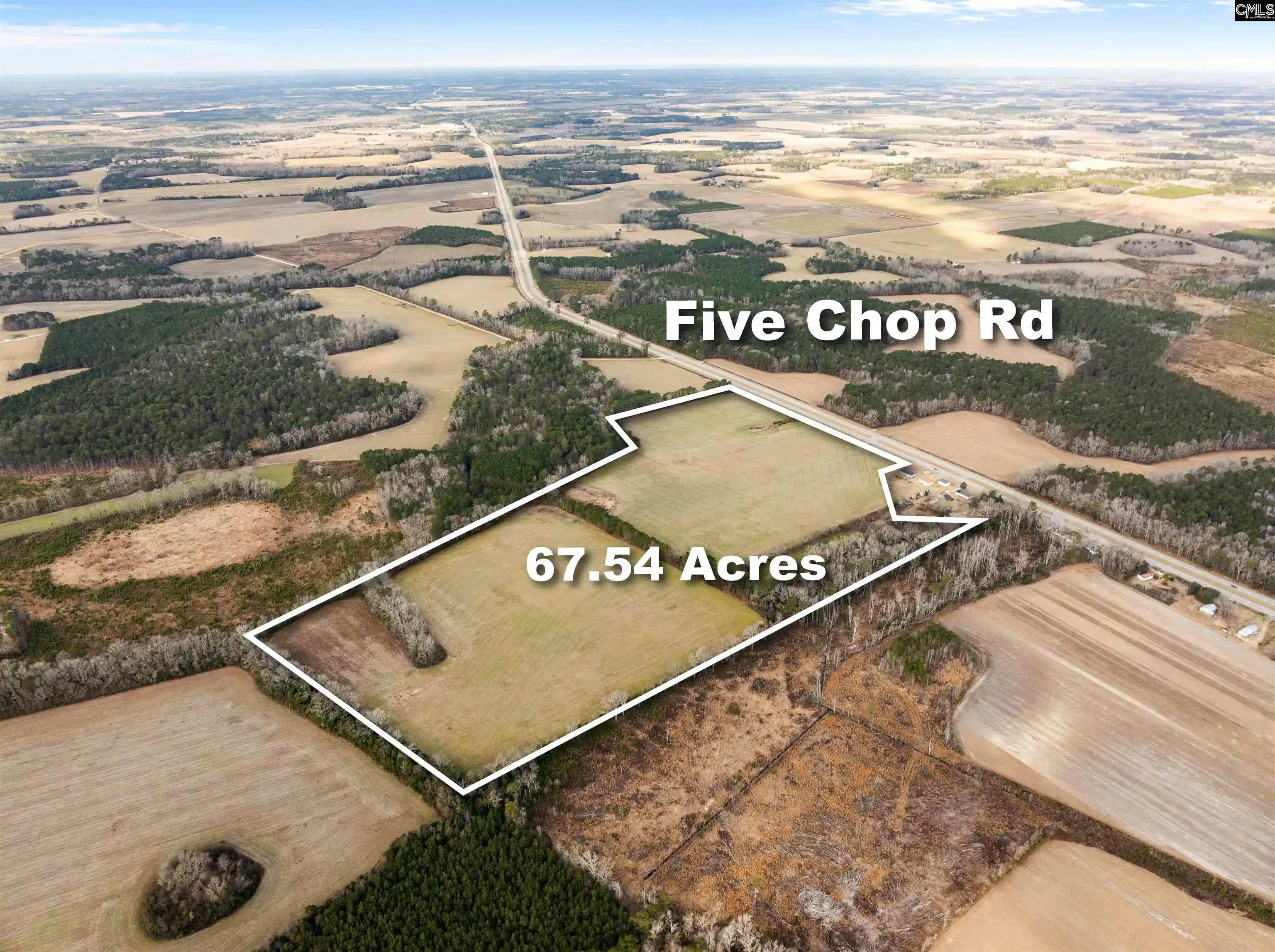 Photo 4 of Land for sale at 0 Five Chop, Santee, SC 29142 | MLS# 641131 | Listing updated on 2026-08-19