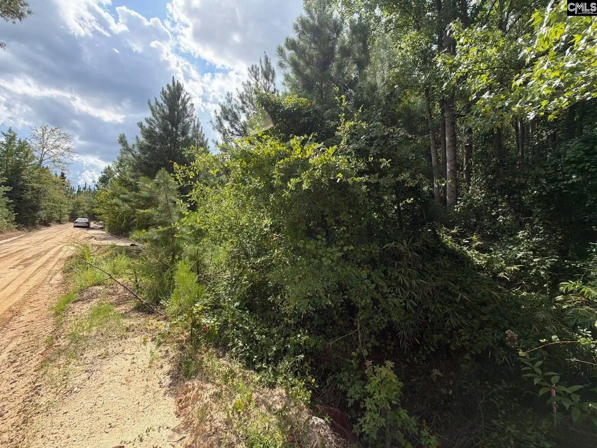 Photo 4 of Land for sale at Btf 1 Bradley, Jefferson, SC 29067 | MLS# 641150 | Listing updated on 2026-08-27