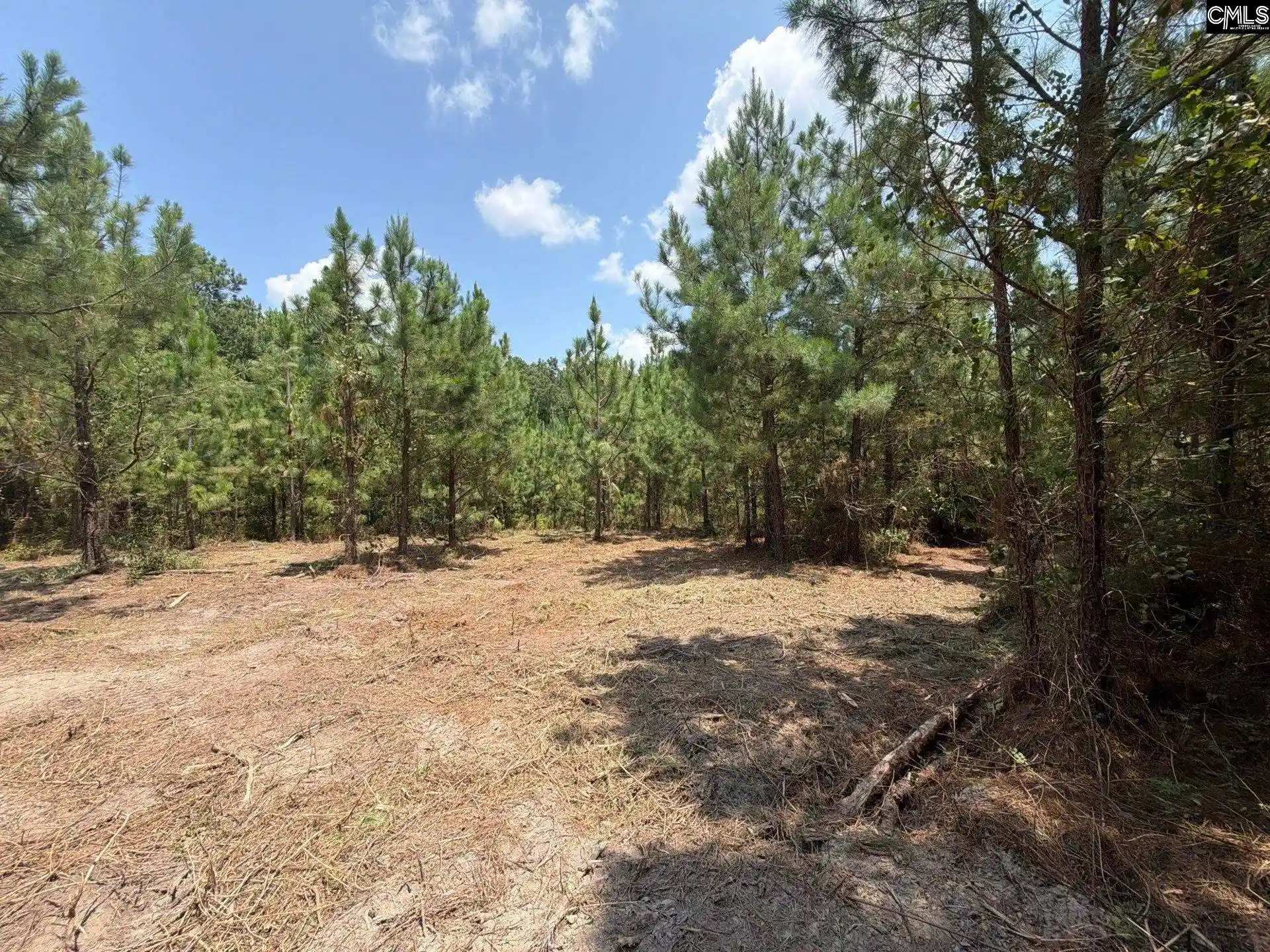 Photo 5 of Land for sale at Btf 1 Bradley, Jefferson, SC 29067 | MLS# 641150 | Listing updated on 2026-08-27