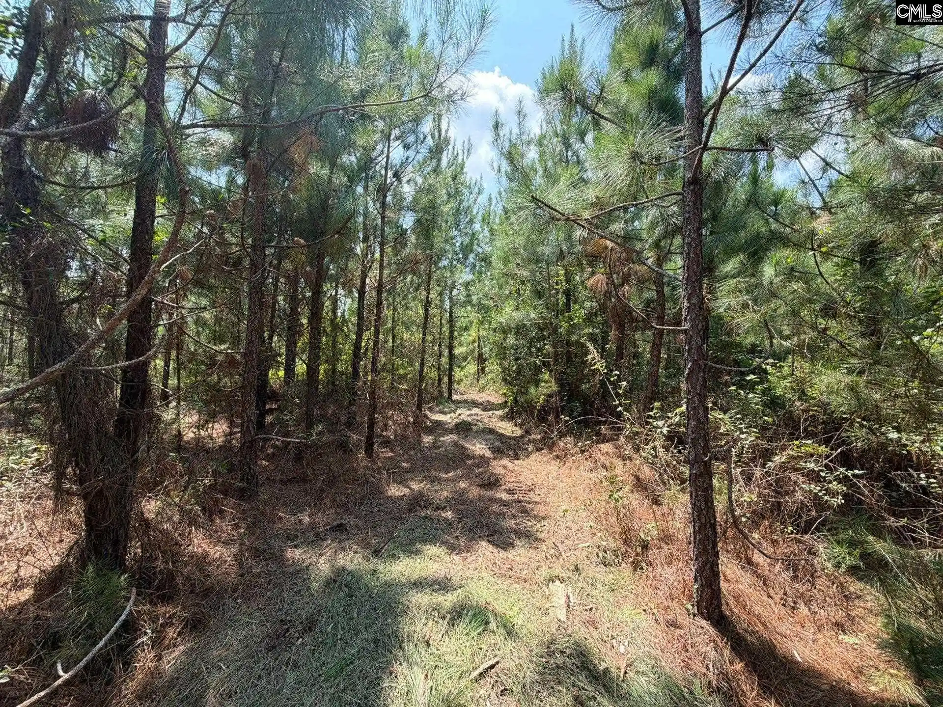 Photo 10 of Land for sale at Btf 1 Bradley, Jefferson, SC 29067 | MLS# 641150 | Listing updated on 2026-08-27