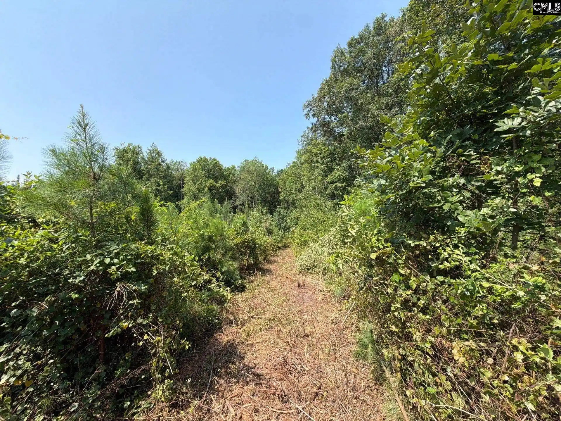 Photo 2 of Land for sale at Btf 2 Bradley, Jefferson, SC 29067 | MLS# 641224 | Listing updated on 2026-08-27
