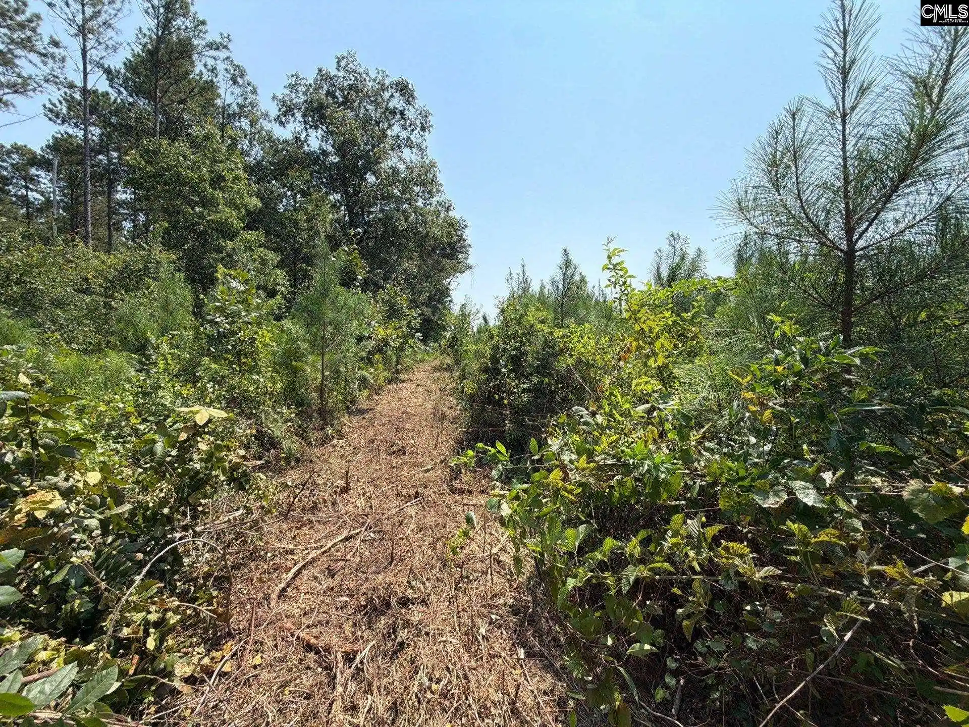 Photo 3 of Land for sale at Btf 2 Bradley, Jefferson, SC 29067 | MLS# 641224 | Listing updated on 2026-08-27
