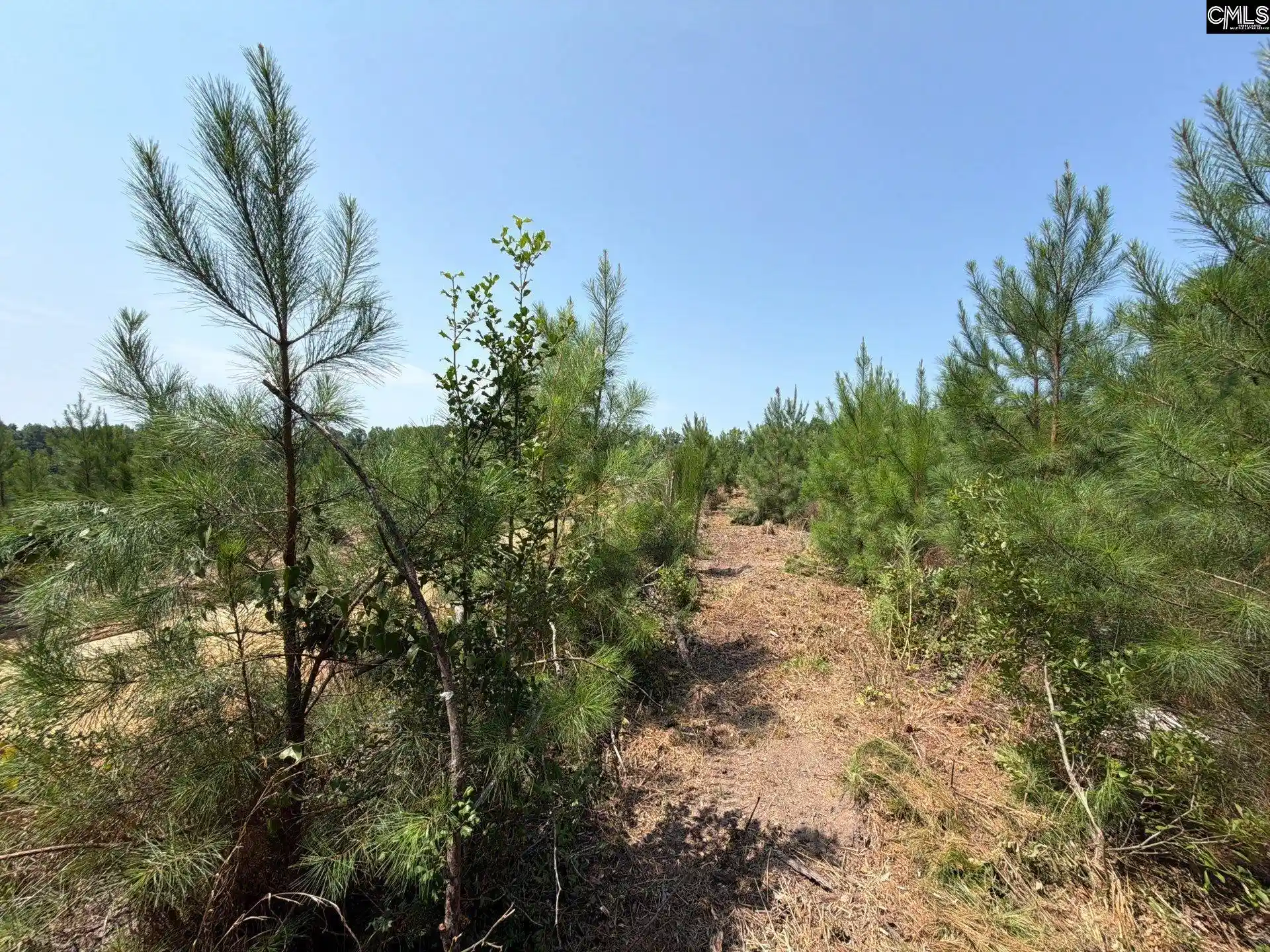 Photo 4 of Land for sale at Btf 2 Bradley, Jefferson, SC 29067 | MLS# 641224 | Listing updated on 2026-08-27