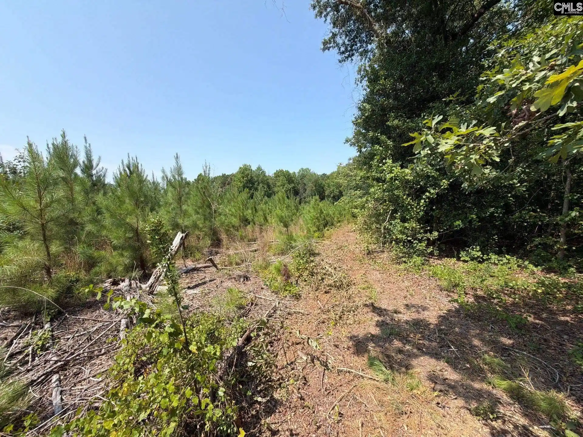 Photo 12 of Land for sale at Btf 2 Bradley, Jefferson, SC 29067 | MLS# 641224 | Listing updated on 2026-08-27