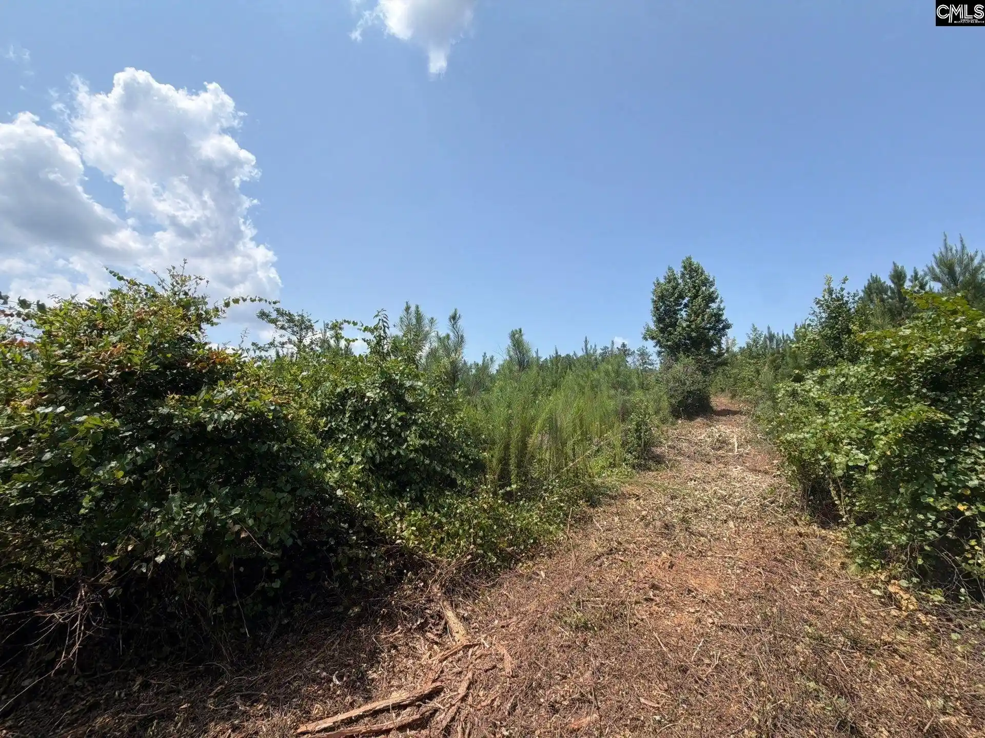 Photo 2 of Land for sale at Btf 3 Bradley, Jefferson, SC 29067 | MLS# 641235 | Listing updated on 2026-08-27