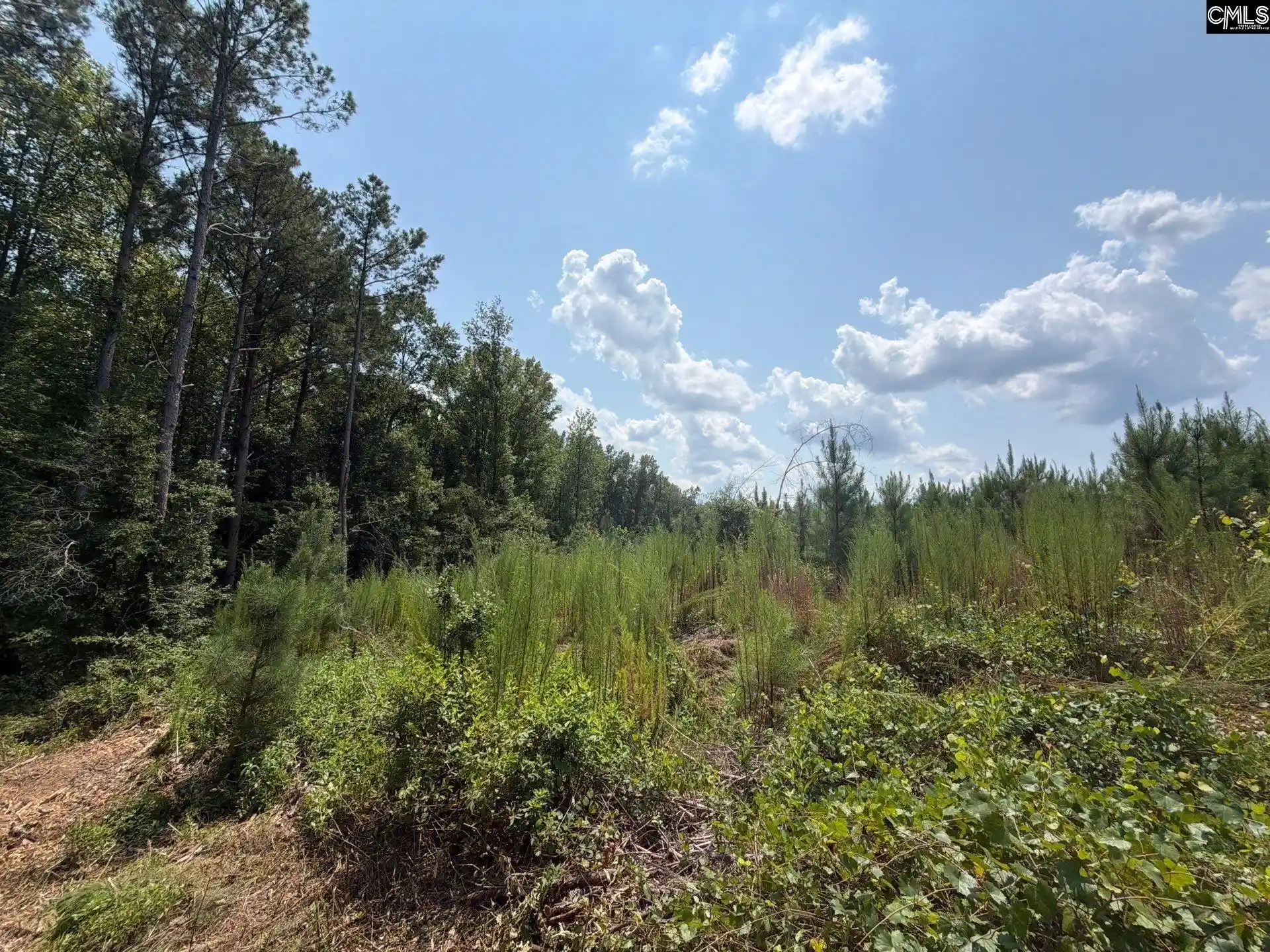 Photo 3 of Land for sale at Btf 3 Bradley, Jefferson, SC 29067 | MLS# 641235 | Listing updated on 2026-08-27