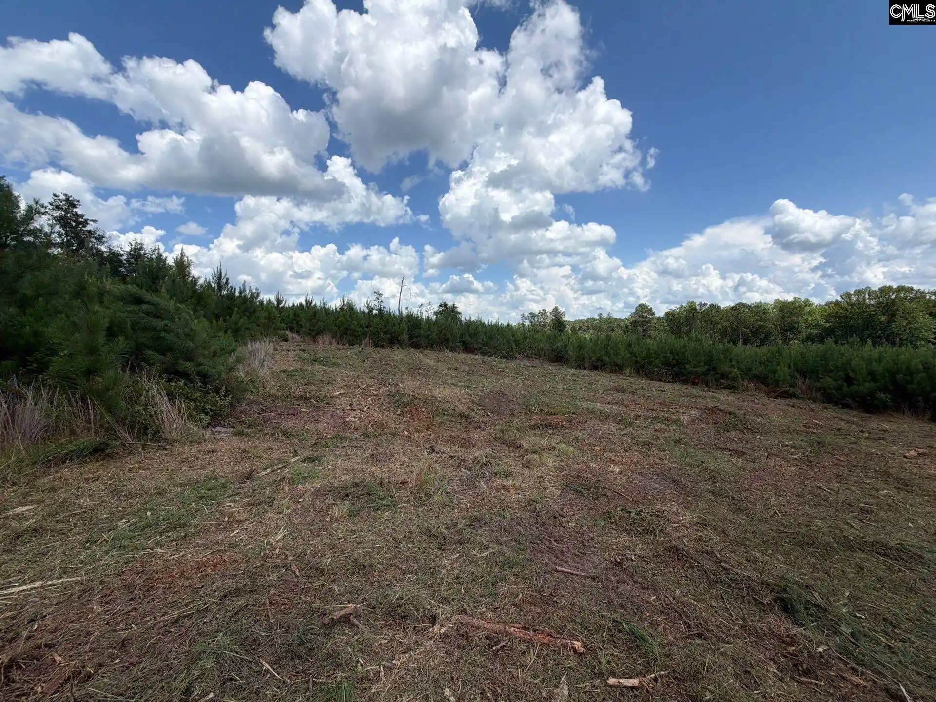 Photo 5 of Land for sale at Btf 3 Bradley, Jefferson, SC 29067 | MLS# 641235 | Listing updated on 2026-08-27