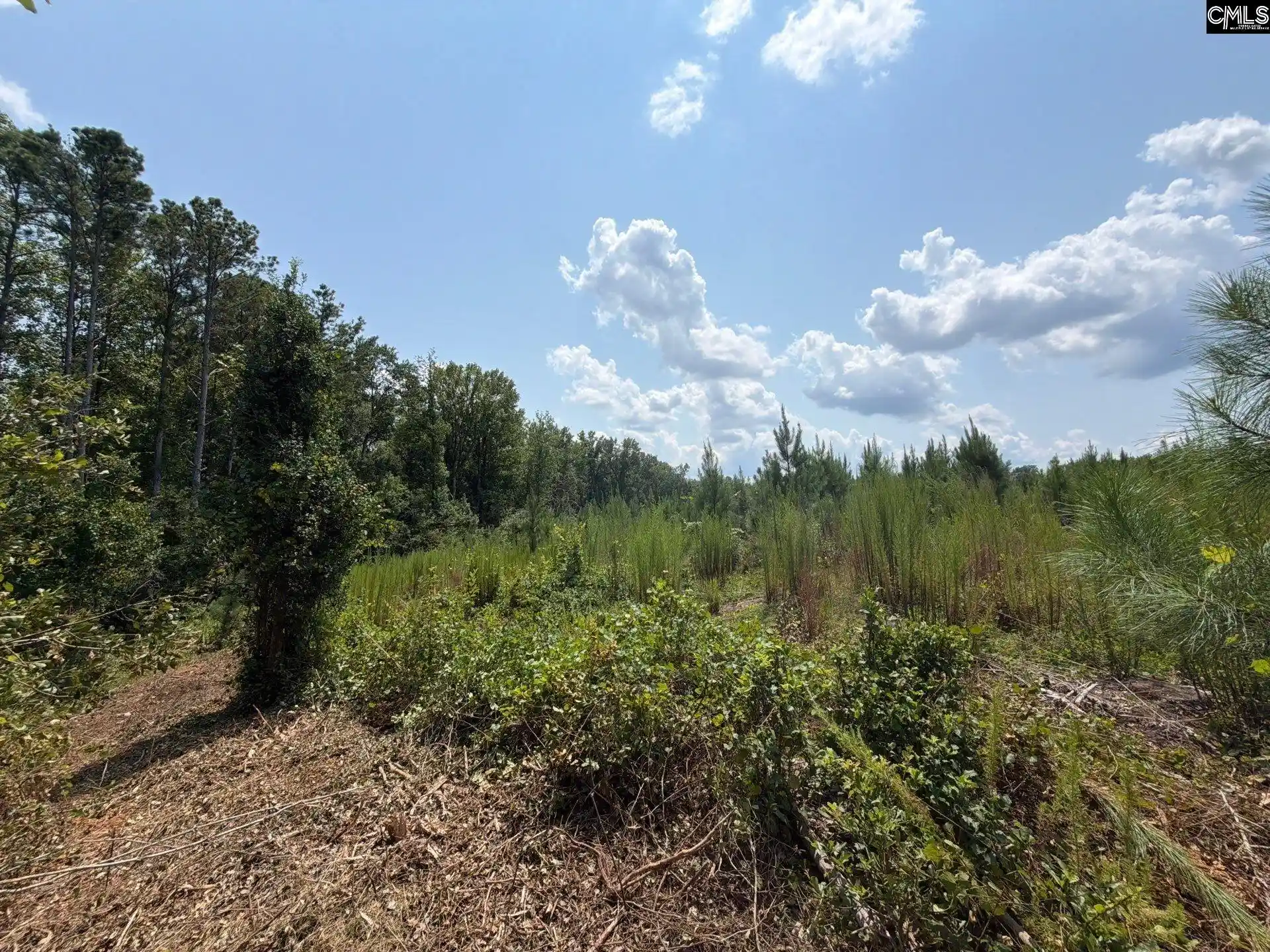 Photo 16 of Land for sale at Btf 3 Bradley, Jefferson, SC 29067 | MLS# 641235 | Listing updated on 2026-08-27