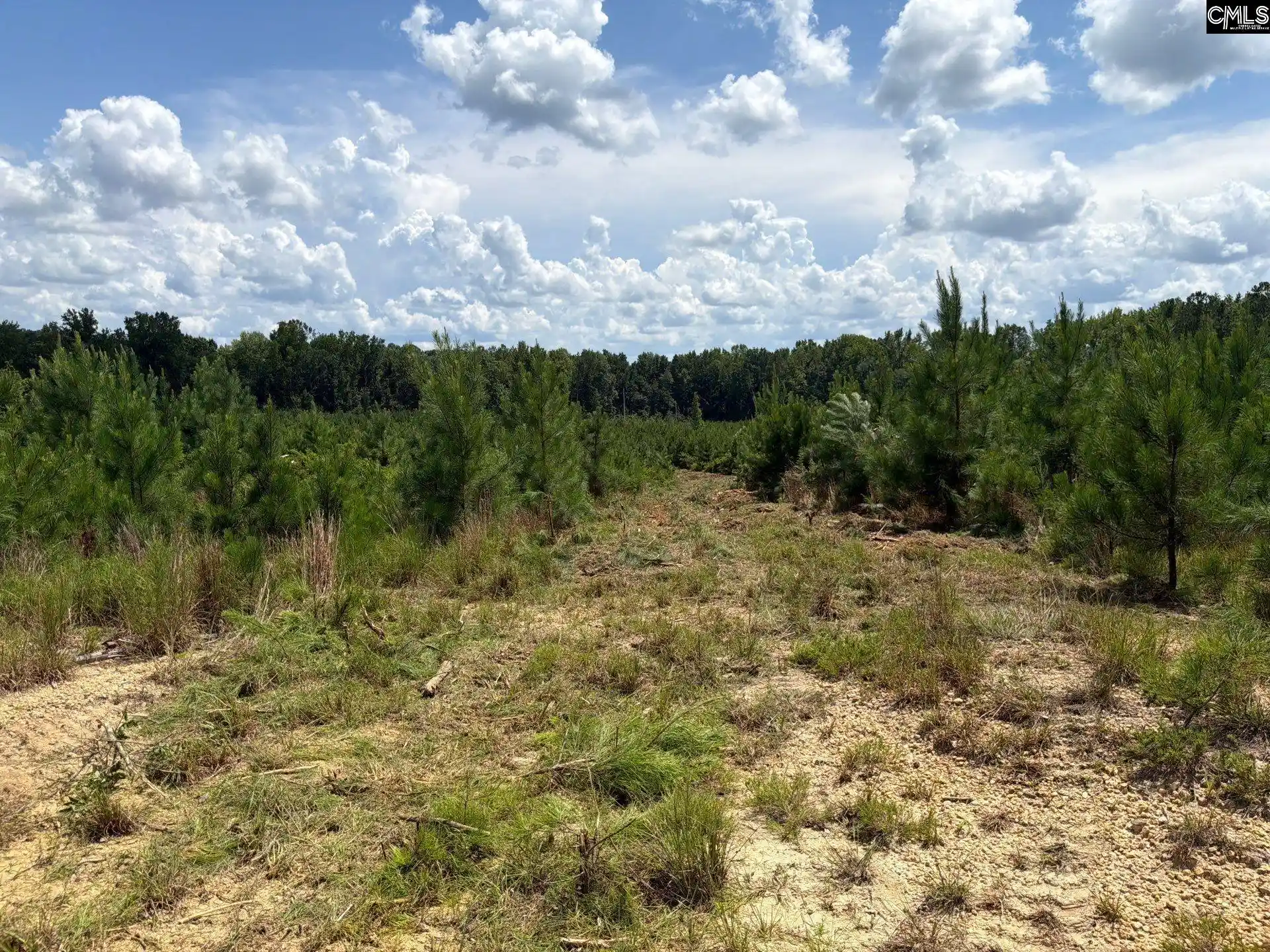 Photo 1 of Land for sale at Btf 4 Bradley, Jefferson, SC 29067 | MLS# 641237 | Listing updated on 2026-08-27