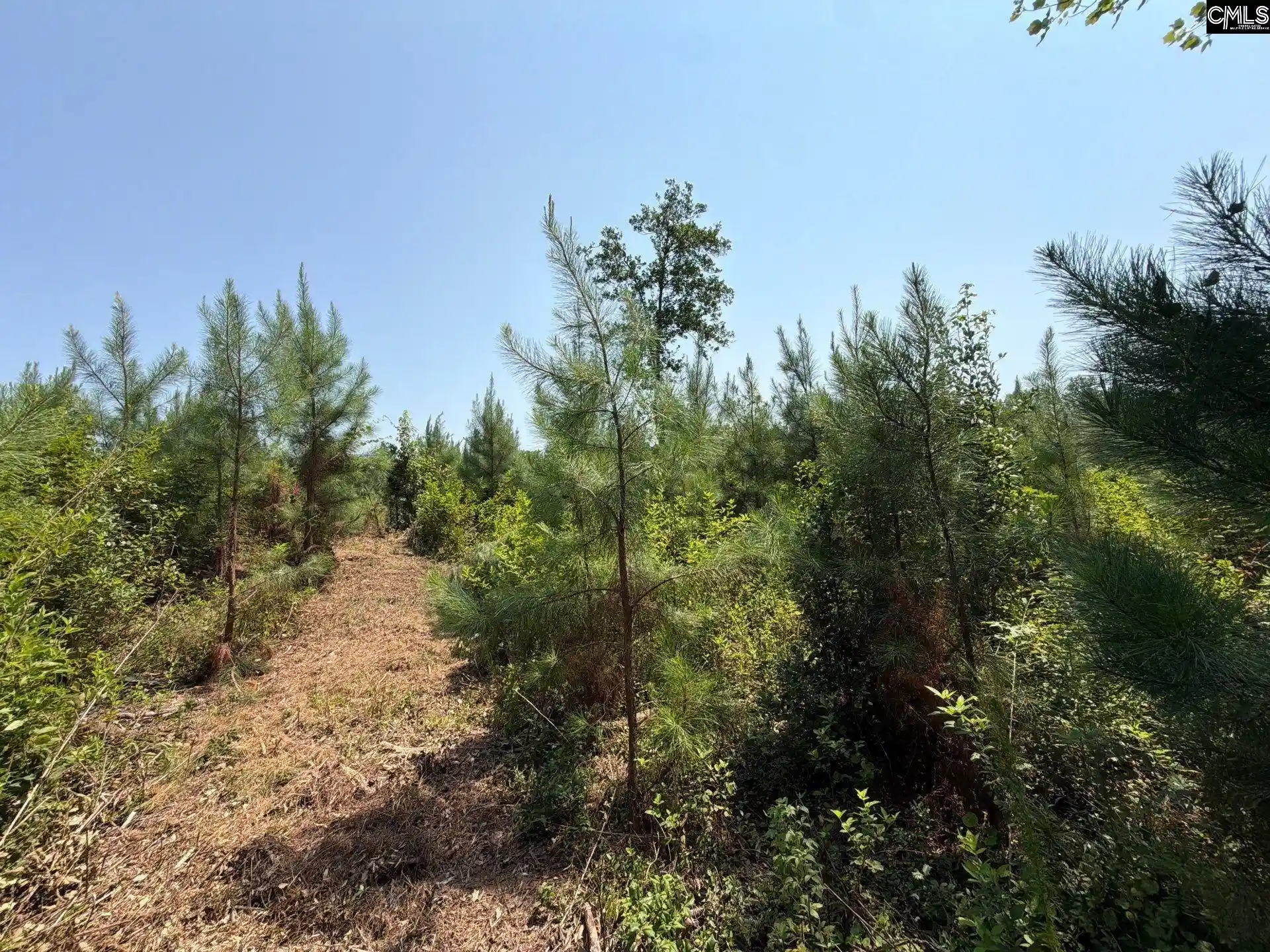 Photo 3 of Land for sale at Btf 4 Bradley, Jefferson, SC 29067 | MLS# 641237 | Listing updated on 2026-08-27
