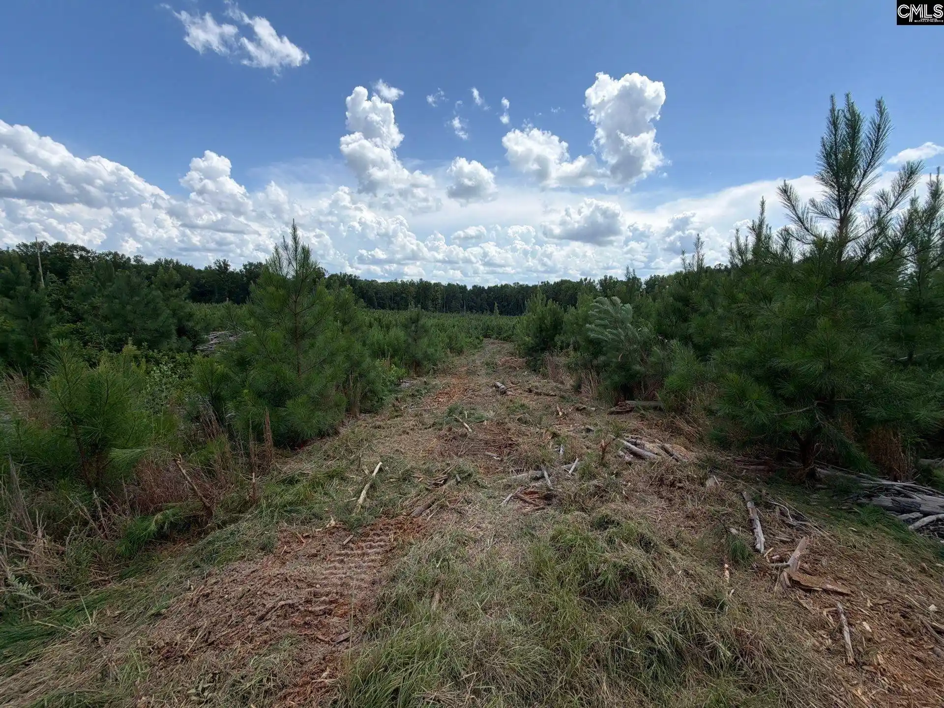 Photo 4 of Land for sale at Btf 4 Bradley, Jefferson, SC 29067 | MLS# 641237 | Listing updated on 2026-08-27