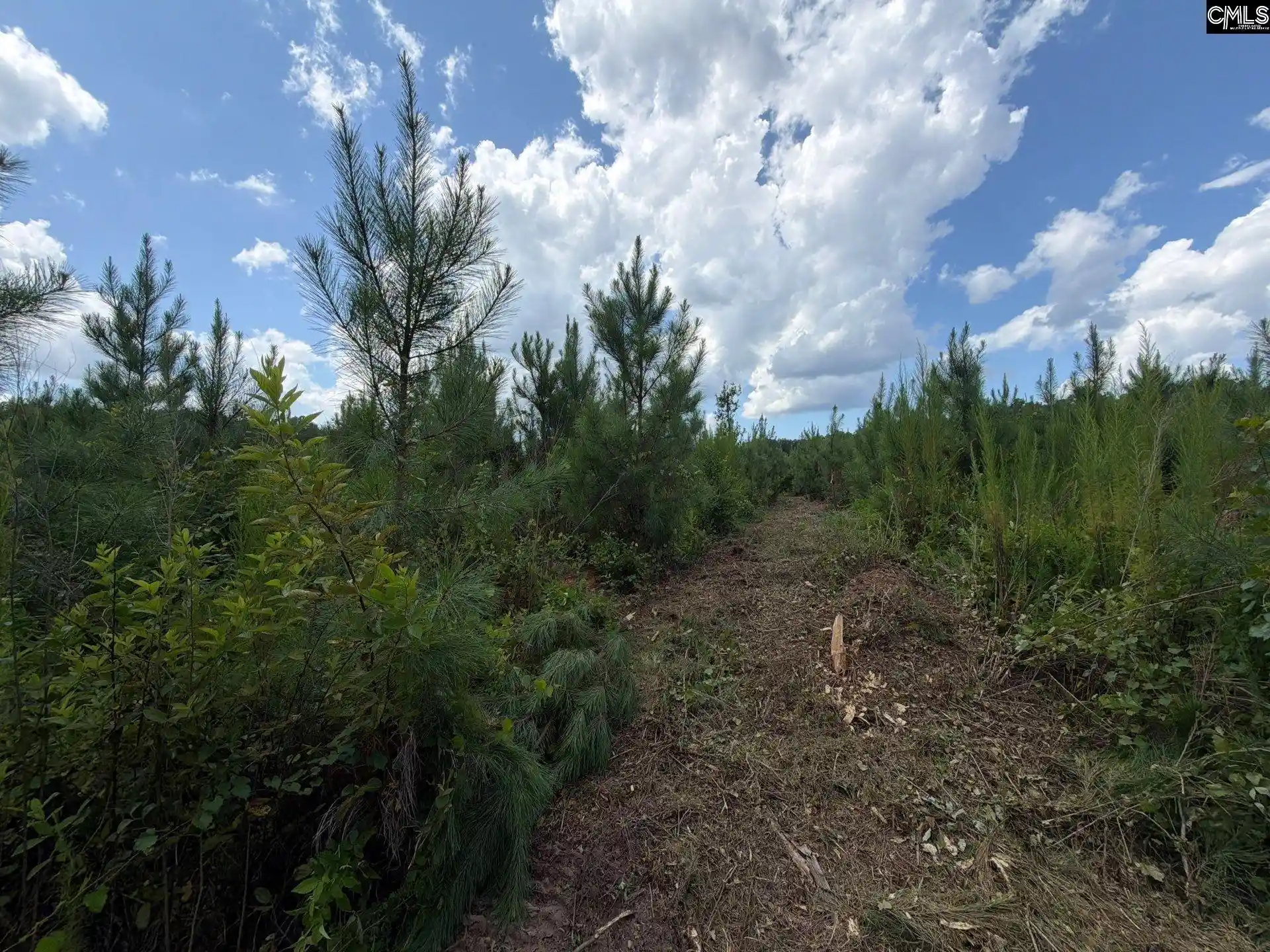 Photo 5 of Land for sale at Btf 4 Bradley, Jefferson, SC 29067 | MLS# 641237 | Listing updated on 2026-08-27