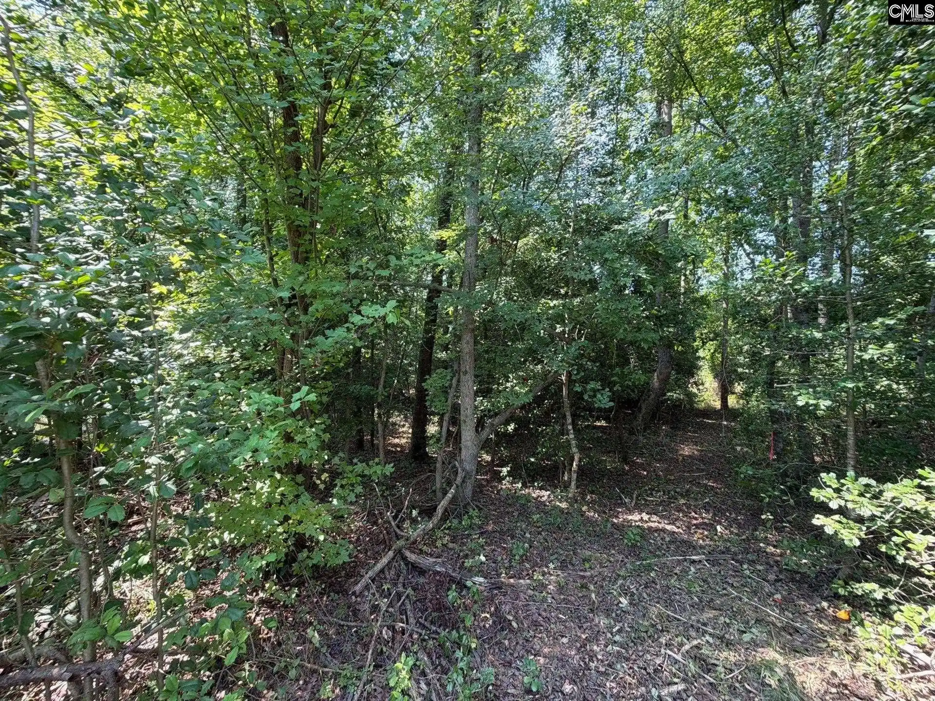 Photo 10 of Land for sale at Btf 4 Bradley, Jefferson, SC 29067 | MLS# 641237 | Listing updated on 2026-08-27