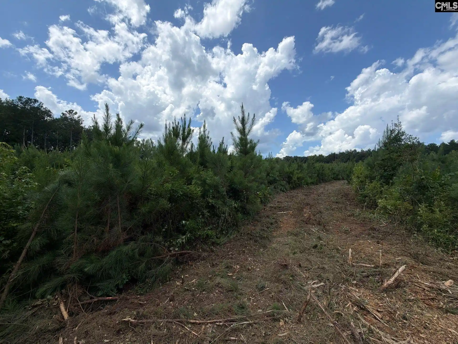 Photo 2 of Land for sale at Btf 5 Bradley, Jefferson, SC 29067 | MLS# 641241 | Listing updated on 2026-08-27