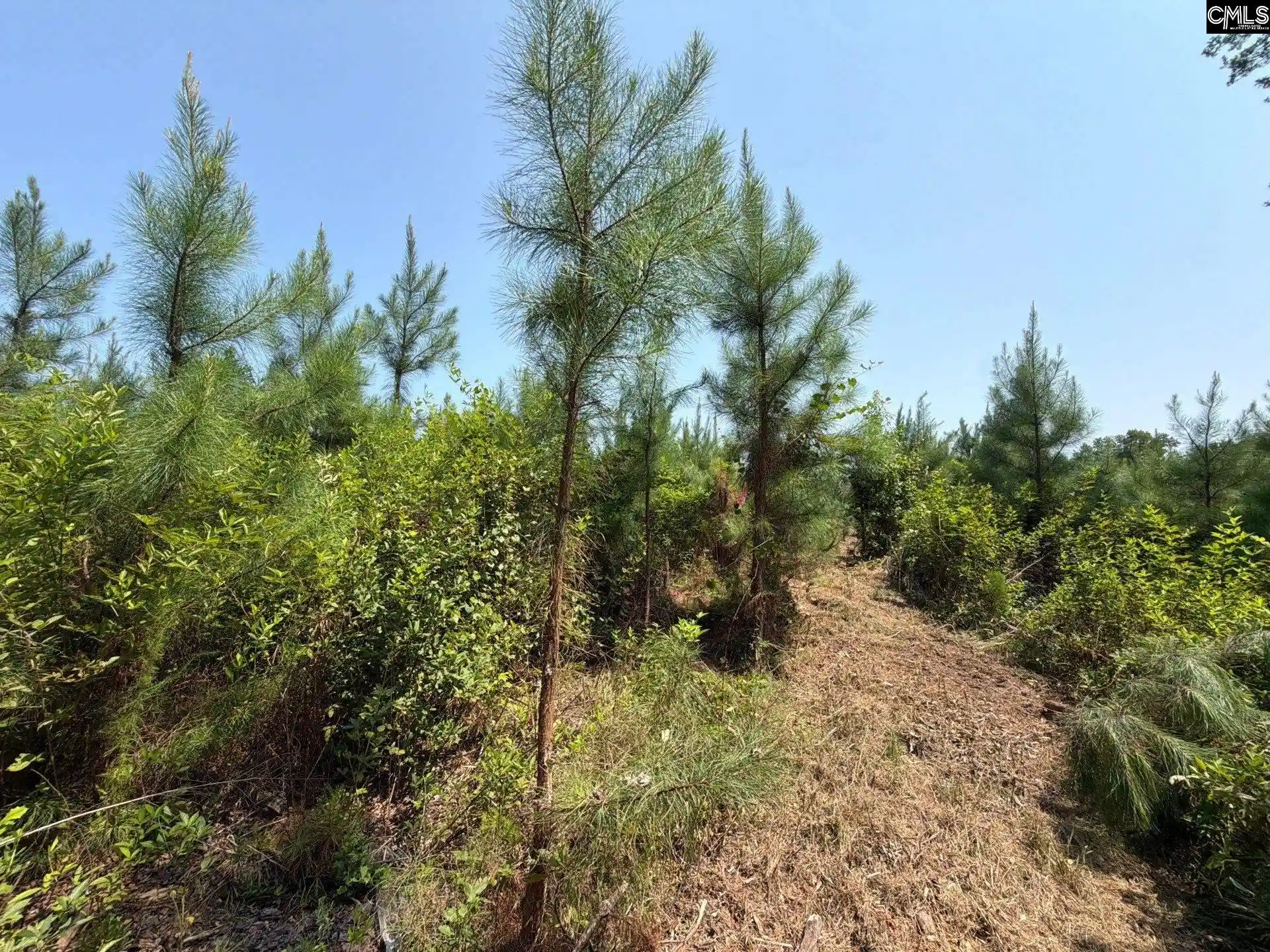 Photo 3 of Land for sale at Btf 5 Bradley, Jefferson, SC 29067 | MLS# 641241 | Listing updated on 2026-08-27