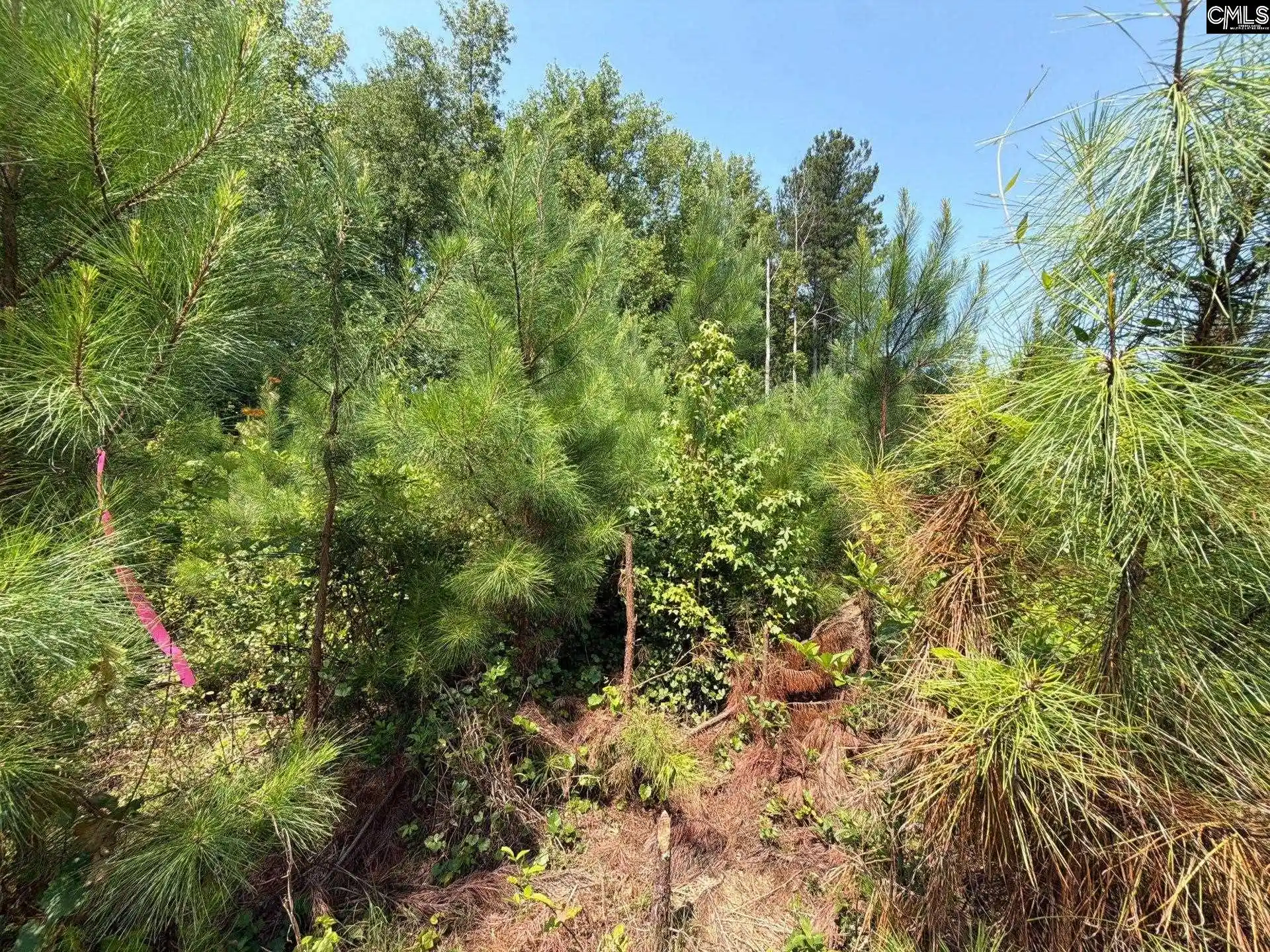 Photo 4 of Land for sale at Btf 5 Bradley, Jefferson, SC 29067 | MLS# 641241 | Listing updated on 2026-08-27