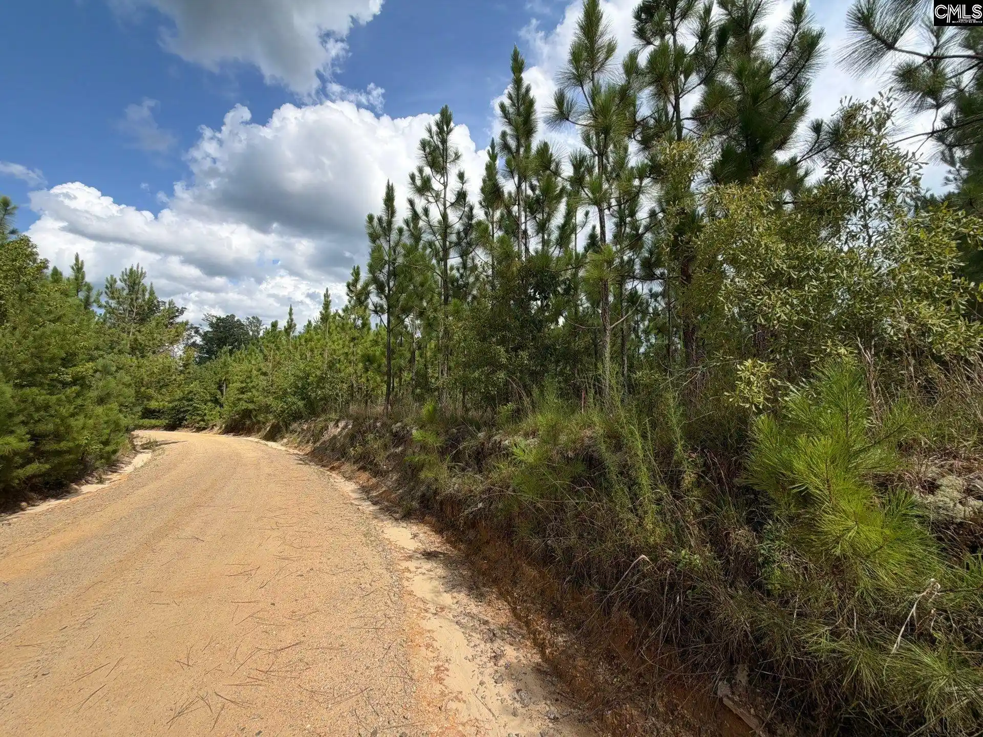 Photo 1 of Land for sale at Btf 6 Bradley, Jefferson, SC 29067 | MLS# 641260 | Listing updated on 2026-08-27