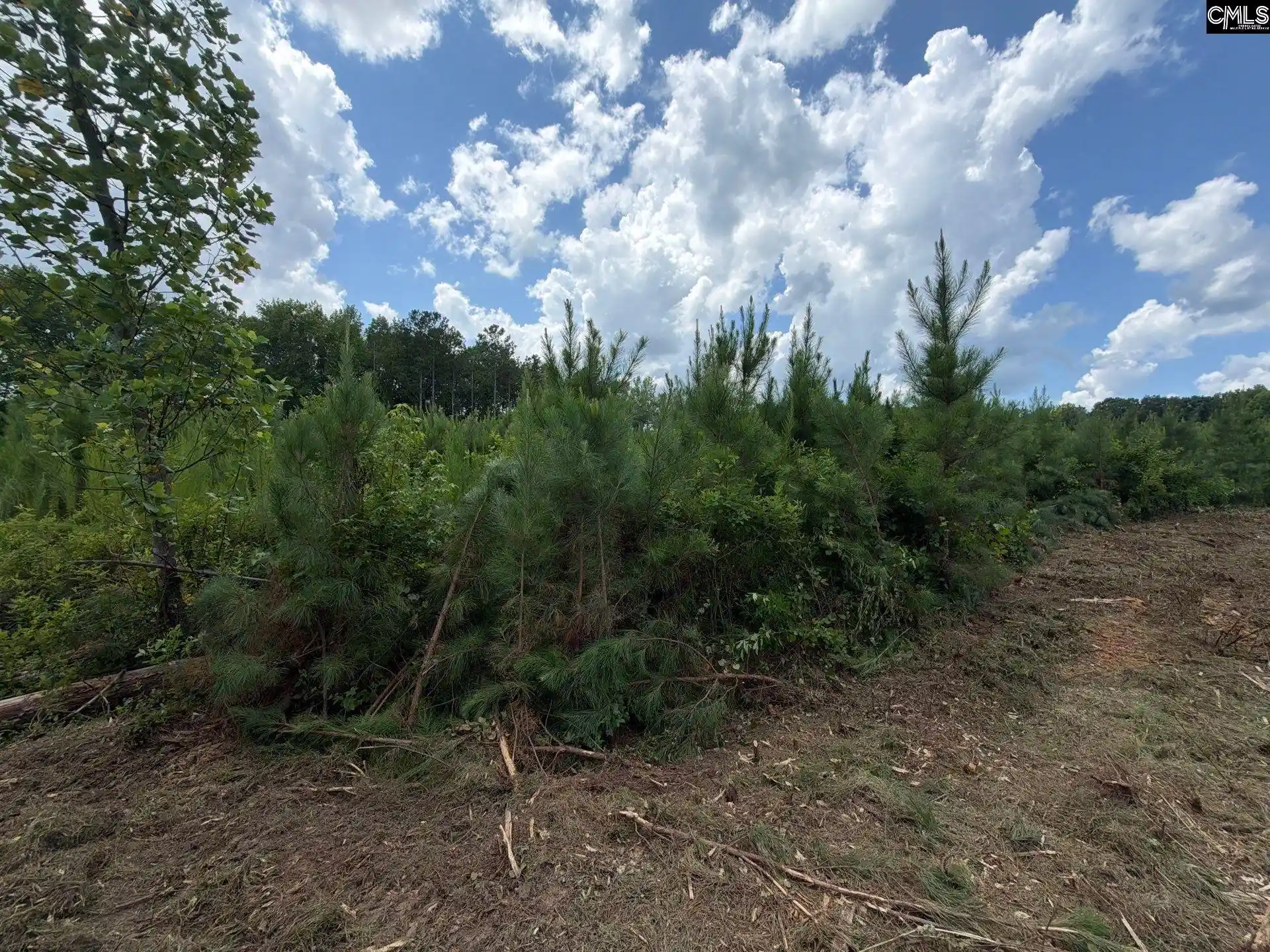 Photo 10 of Land for sale at Btf 6 Bradley, Jefferson, SC 29067 | MLS# 641260 | Listing updated on 2026-08-27