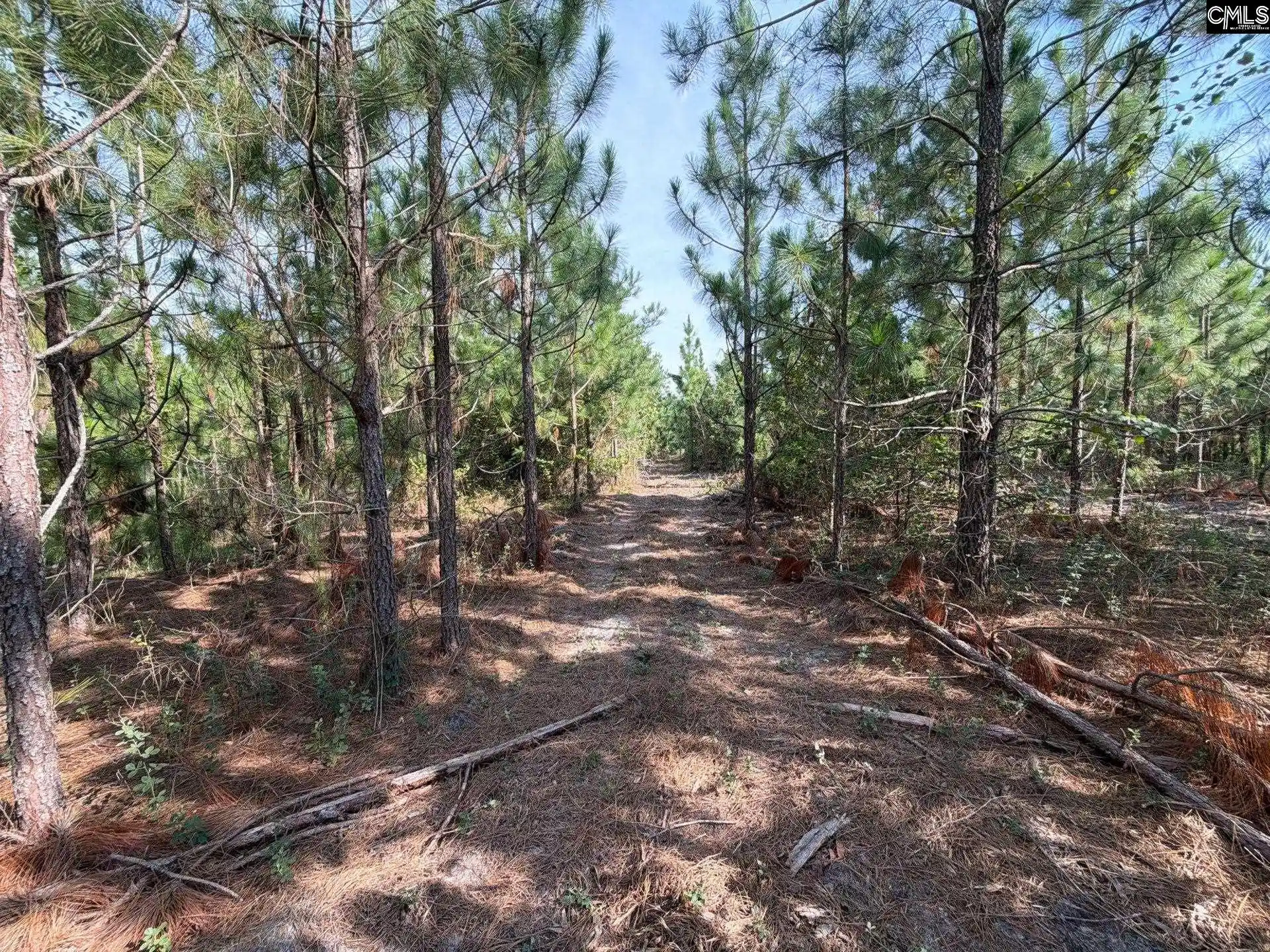 Photo 1 of Land for sale at Btf 7 Bradley, Kershaw, SC 29067 | MLS# 641262 | Listing updated on 2026-08-27