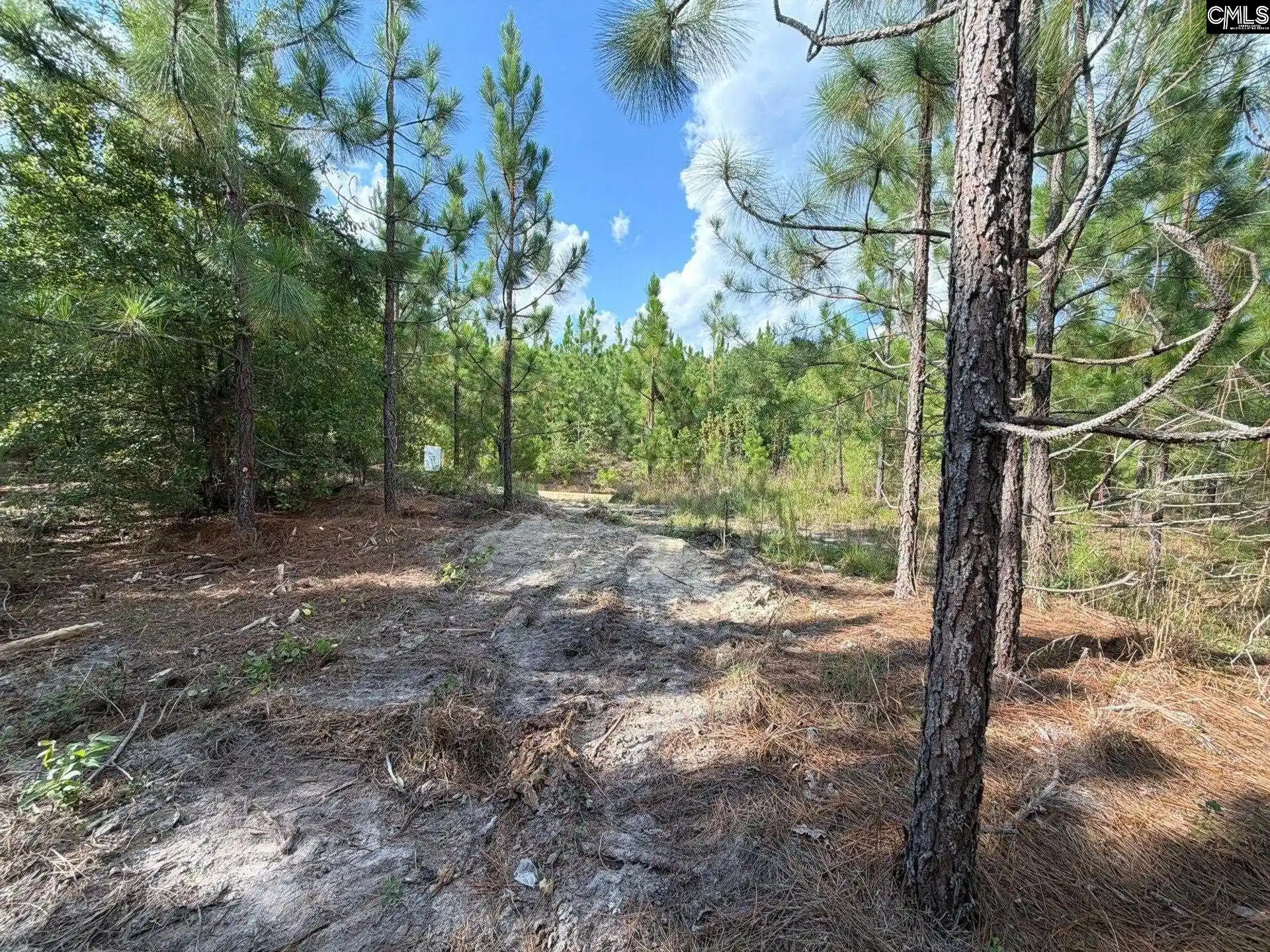 Photo 3 of Land for sale at Btf 7 Bradley, Kershaw, SC 29067 | MLS# 641262 | Listing updated on 2026-08-27