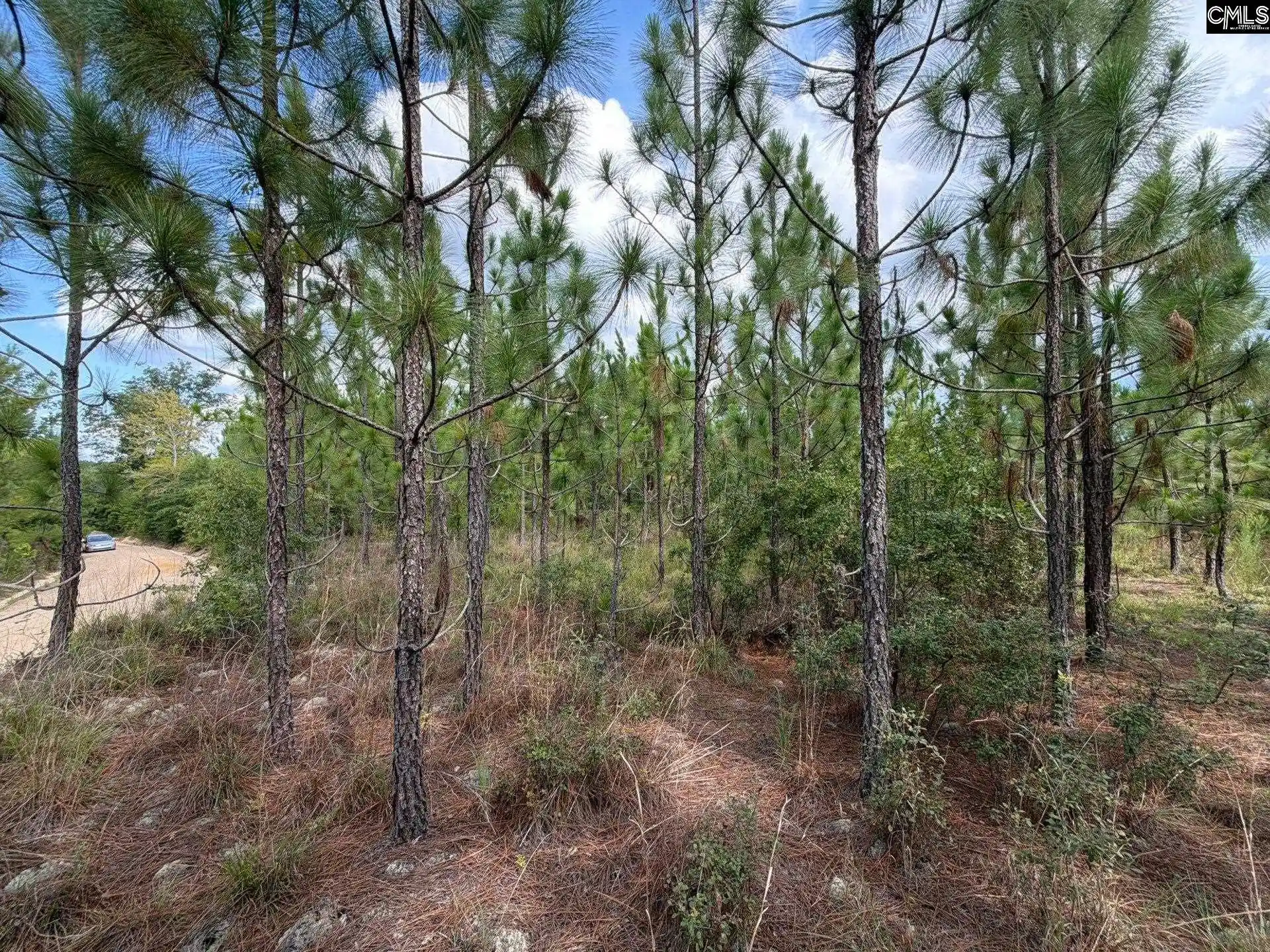 Photo 4 of Land for sale at Btf 7 Bradley, Kershaw, SC 29067 | MLS# 641262 | Listing updated on 2026-08-27