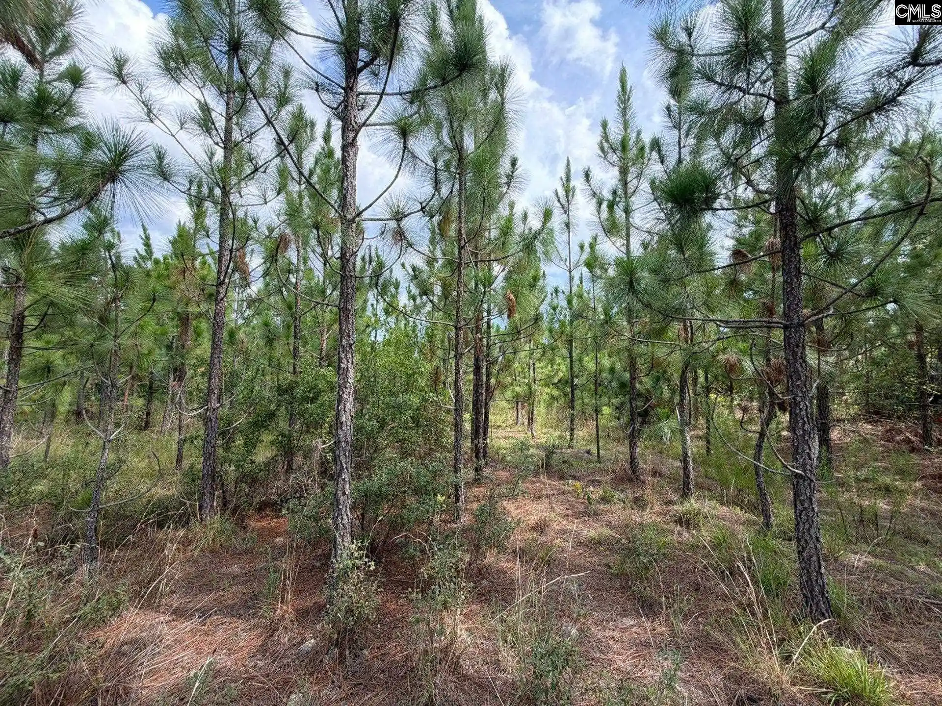 Photo 5 of Land for sale at Btf 7 Bradley, Kershaw, SC 29067 | MLS# 641262 | Listing updated on 2026-08-27