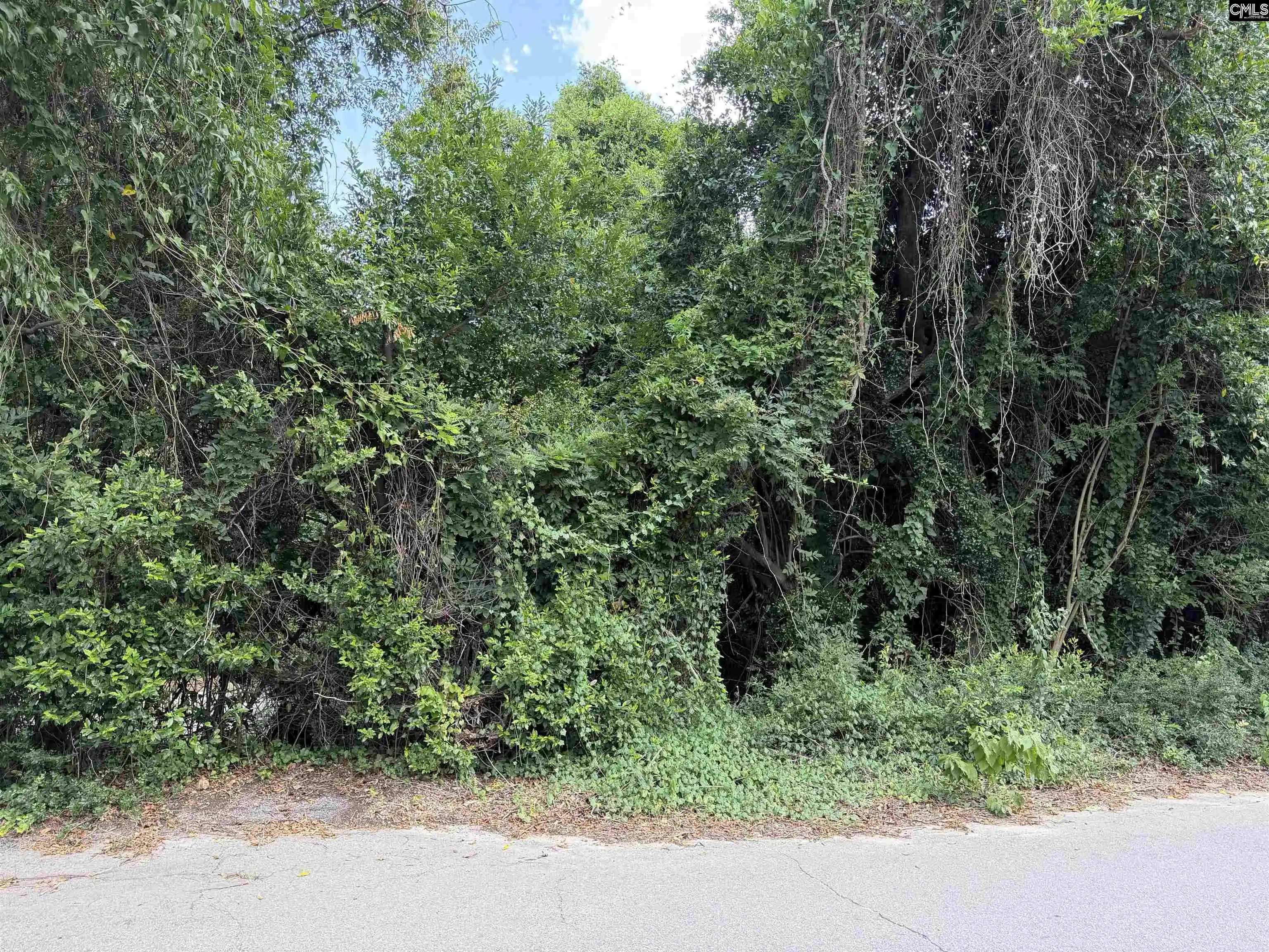 Photo 3 of Land for sale at 1516 Fanning, Forest Acres, SC 29204 | MLS# 641301 | Listing updated on 2026-09-19
