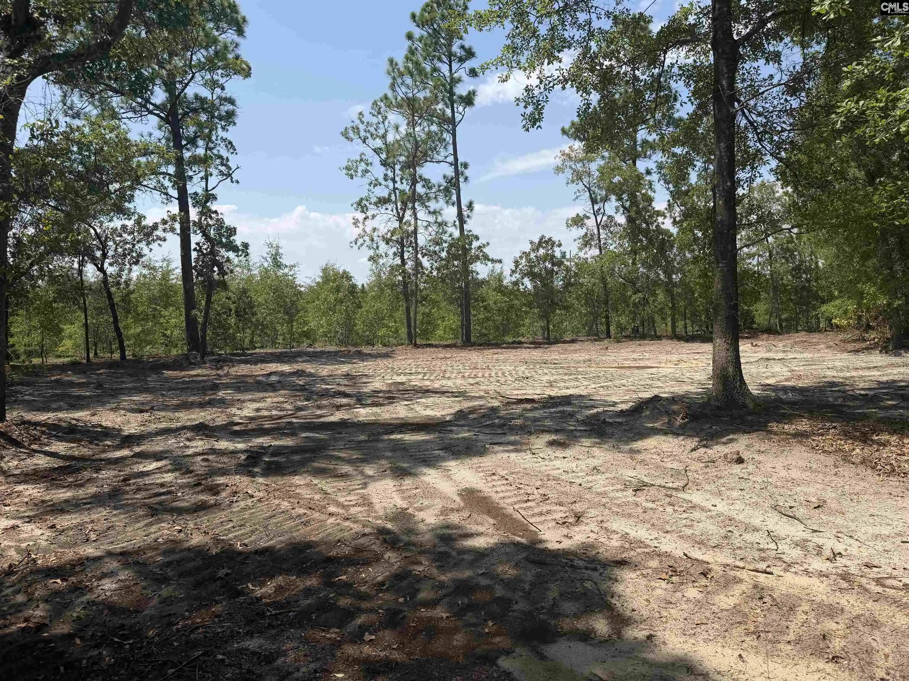 2nd image of Lot 1 Patrick, Hartsville, SC 29550 | MLS# 641366