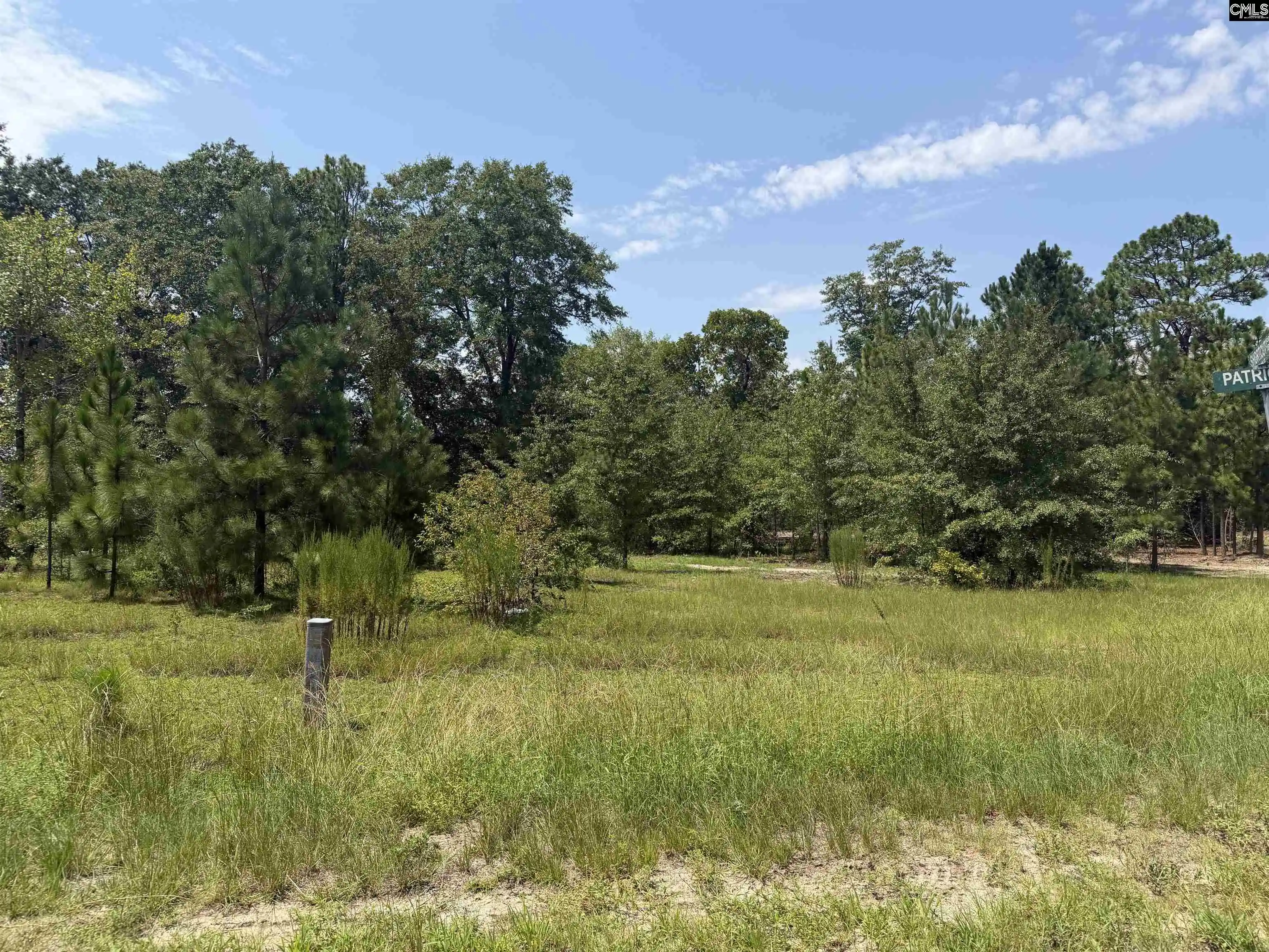 4th image of Lot 1 Patrick, Hartsville, SC 29550 | MLS# 641366