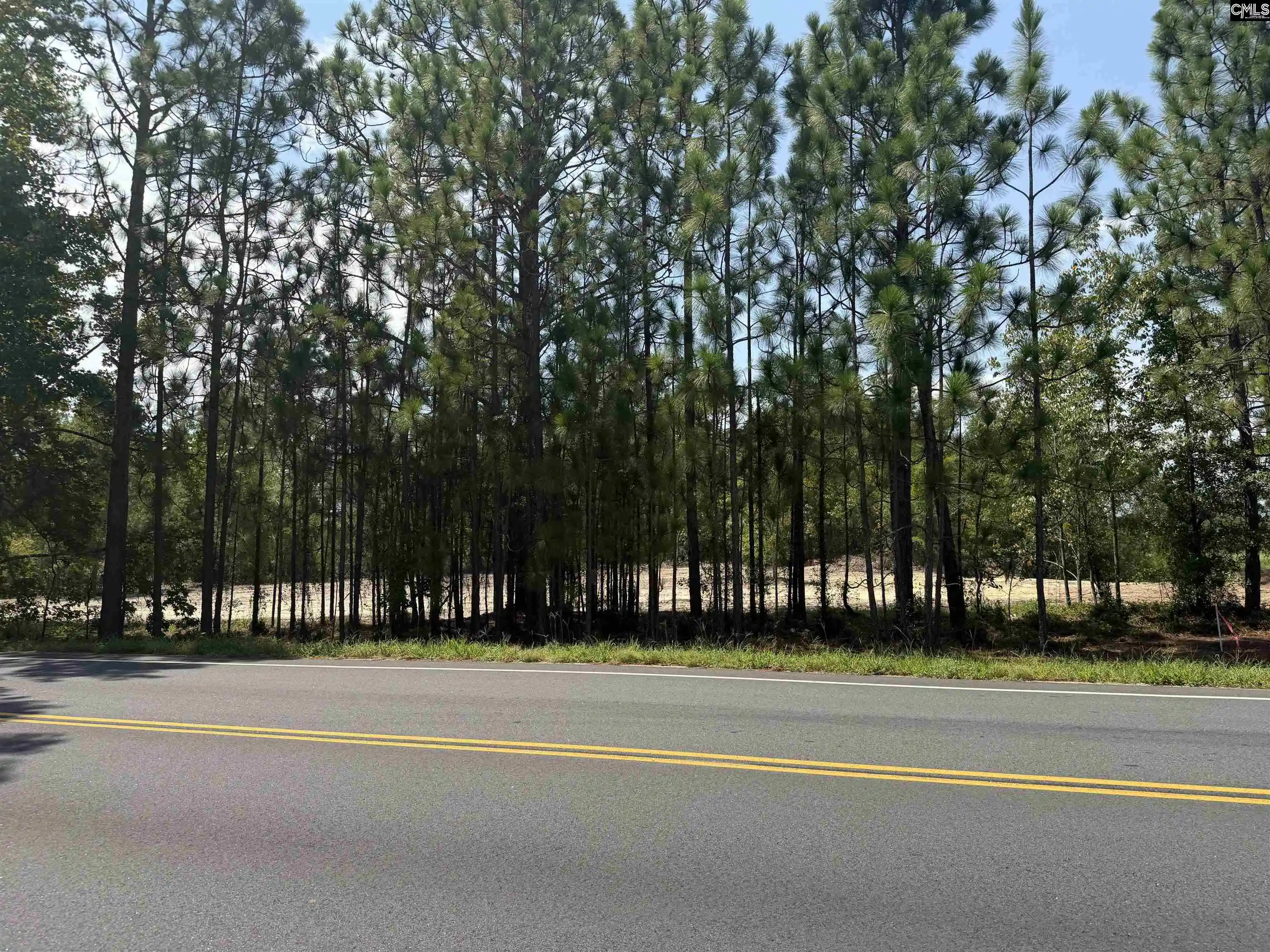 4th image of Lot 2 Patrick, Hartsville, SC 29550 | MLS# 641368