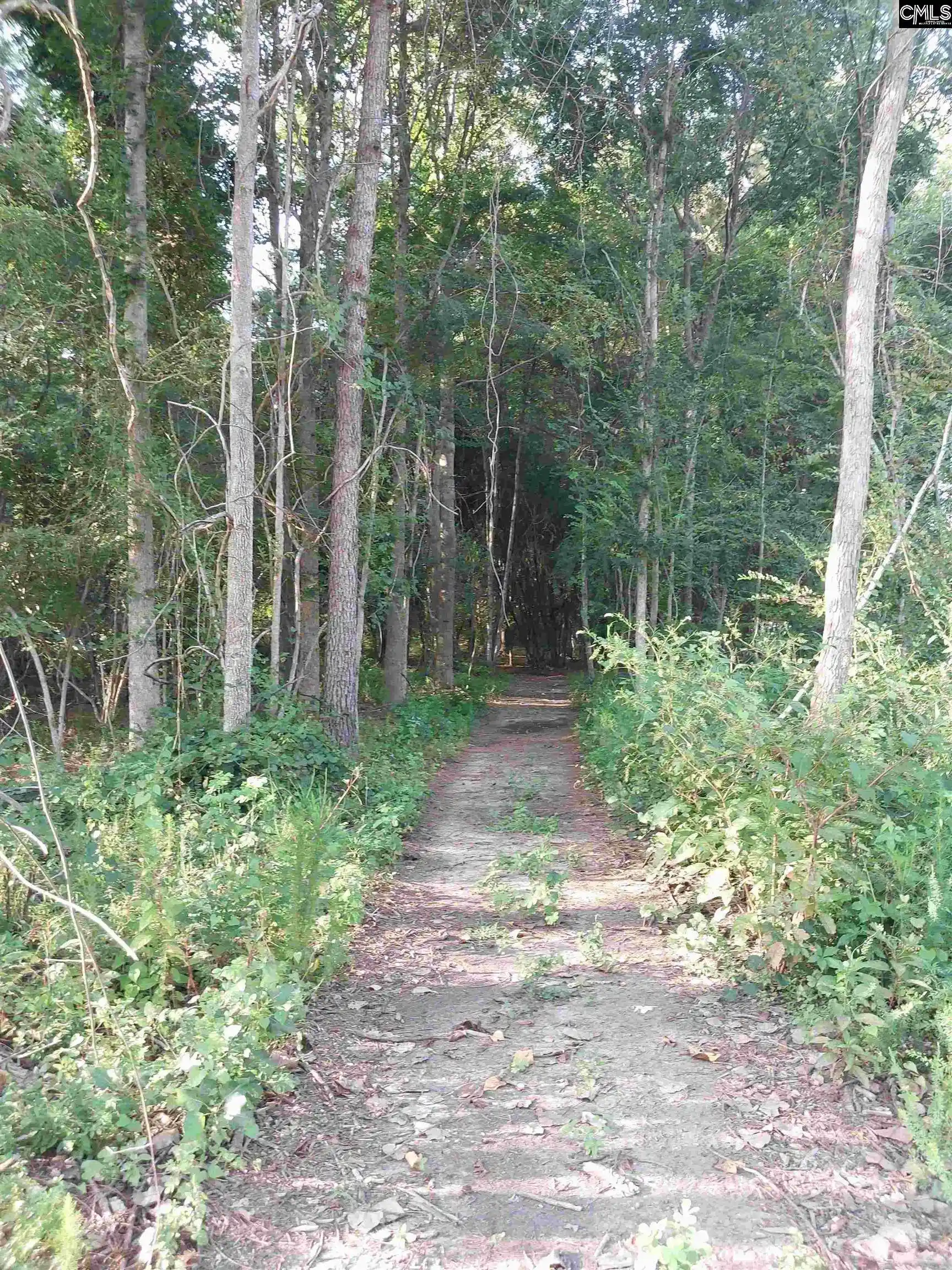 Photo 4 of Land for sale at 3018 Ebenezer, Sumter, SC 29153 | MLS# 641396 | Listing updated on 2026-08-21