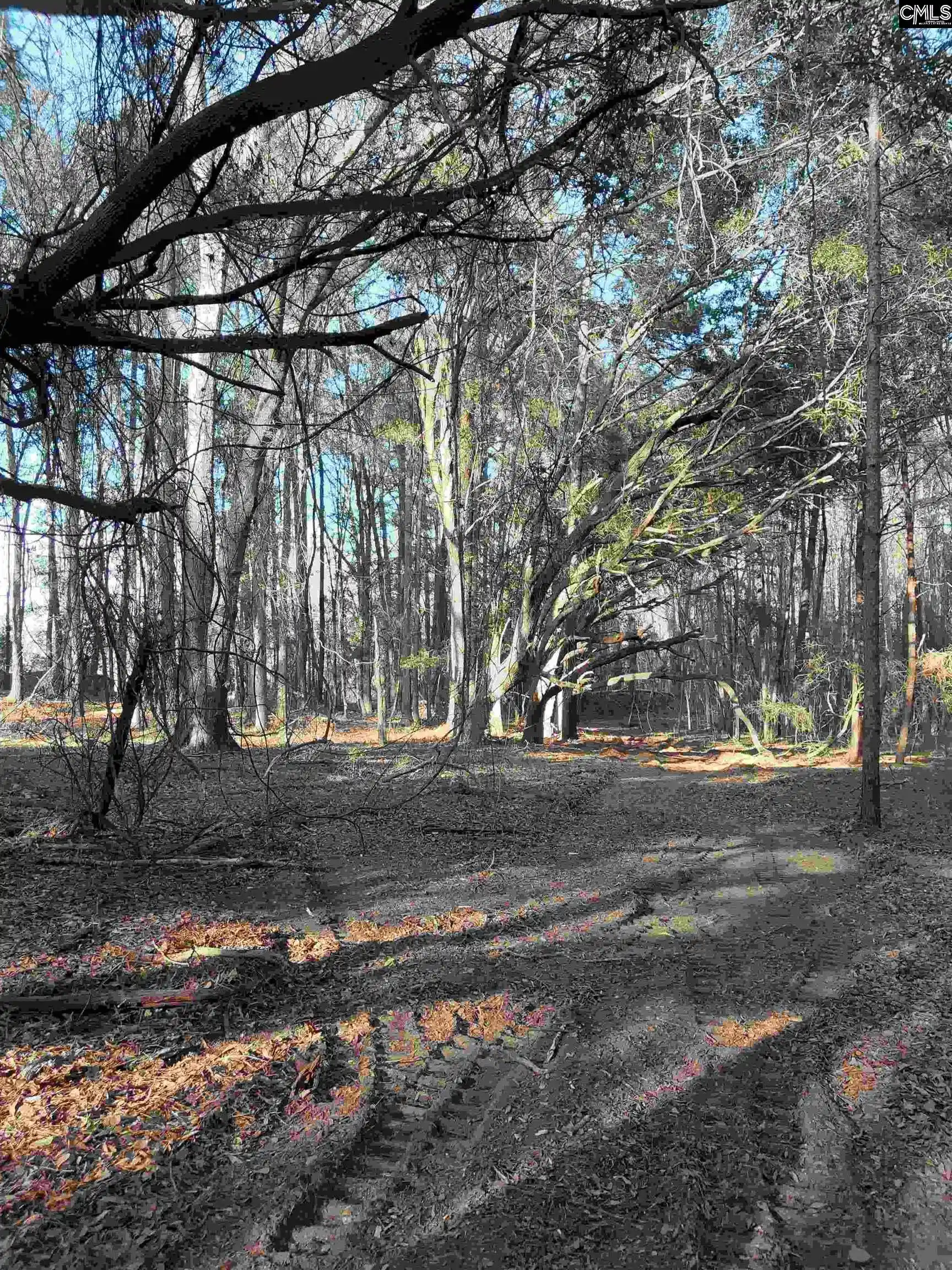 Photo 23 of Land for sale at 3018 Ebenezer, Sumter, SC 29153 | MLS# 641396 | Listing updated on 2026-08-21
