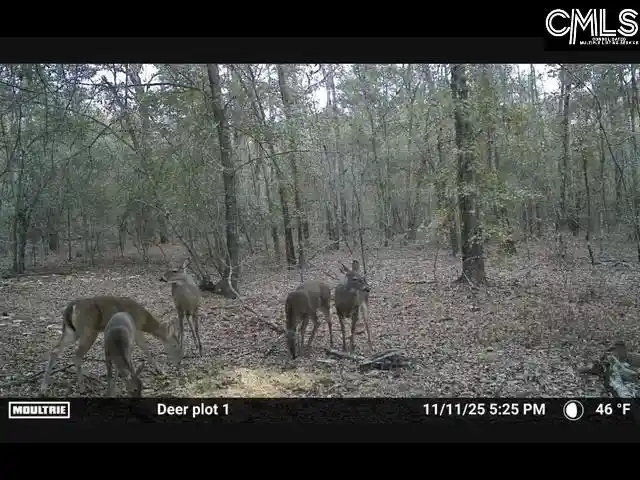 Photo 3 of Land for sale at 430 Millers Pond, Salley, SC 29137 | MLS# 641400 | Listing updated on 2026-08-21
