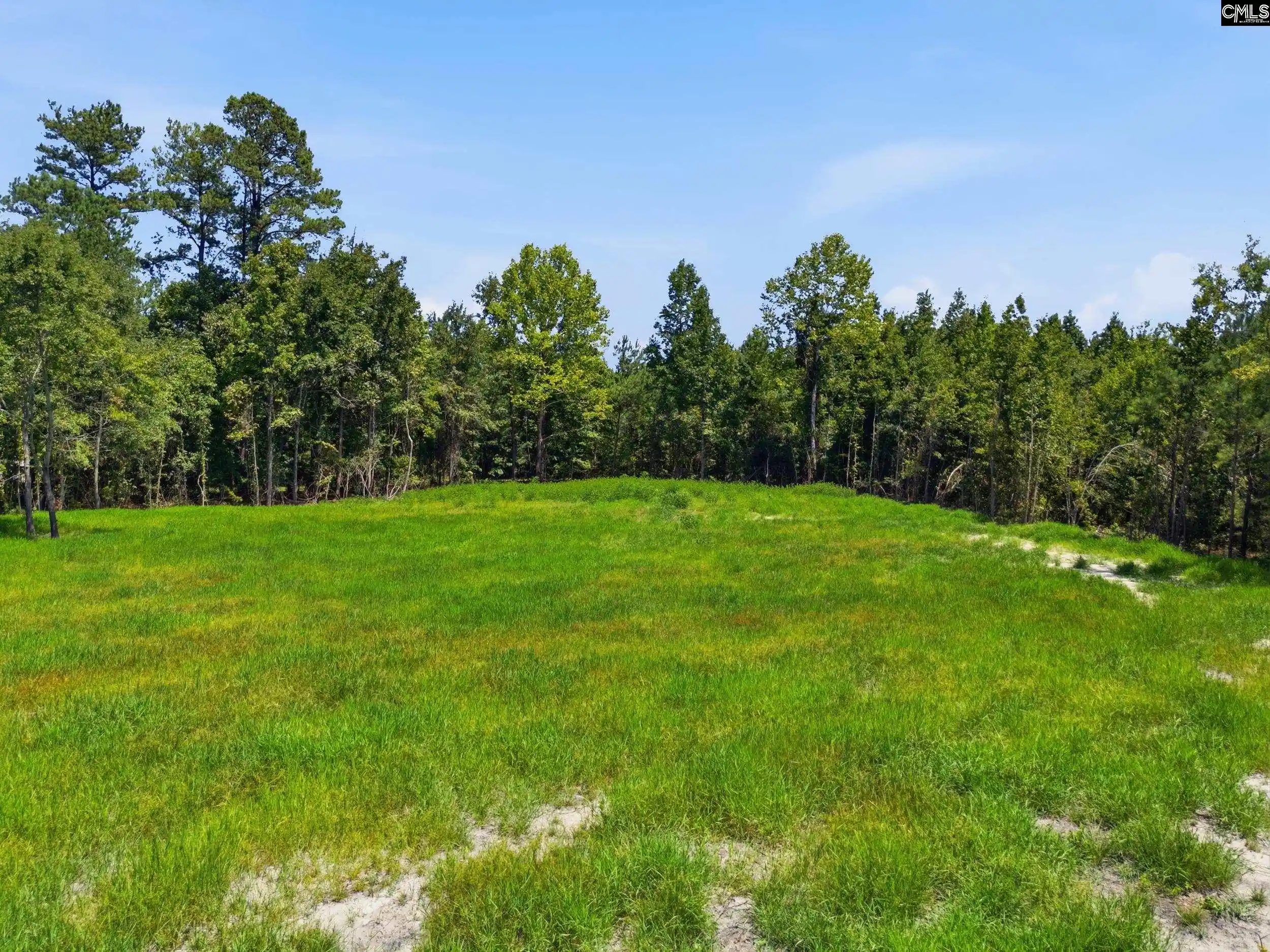 Photo 17 of Land for sale at 1 Mcalhany, Branchville, SC 29432 | MLS# 641410 | Listing updated on 2026-08-22