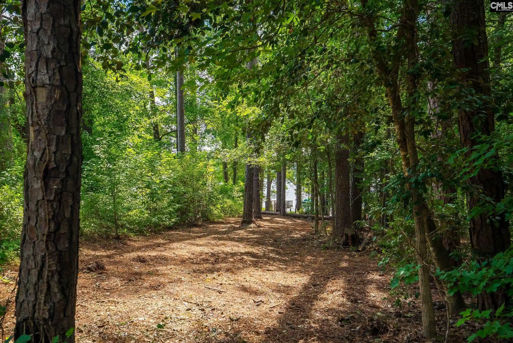 Photo 5 of Land for sale at 277 Cherry, Prosperity, SC 29127 | MLS# 641519 | Listing updated on 2026-08-27