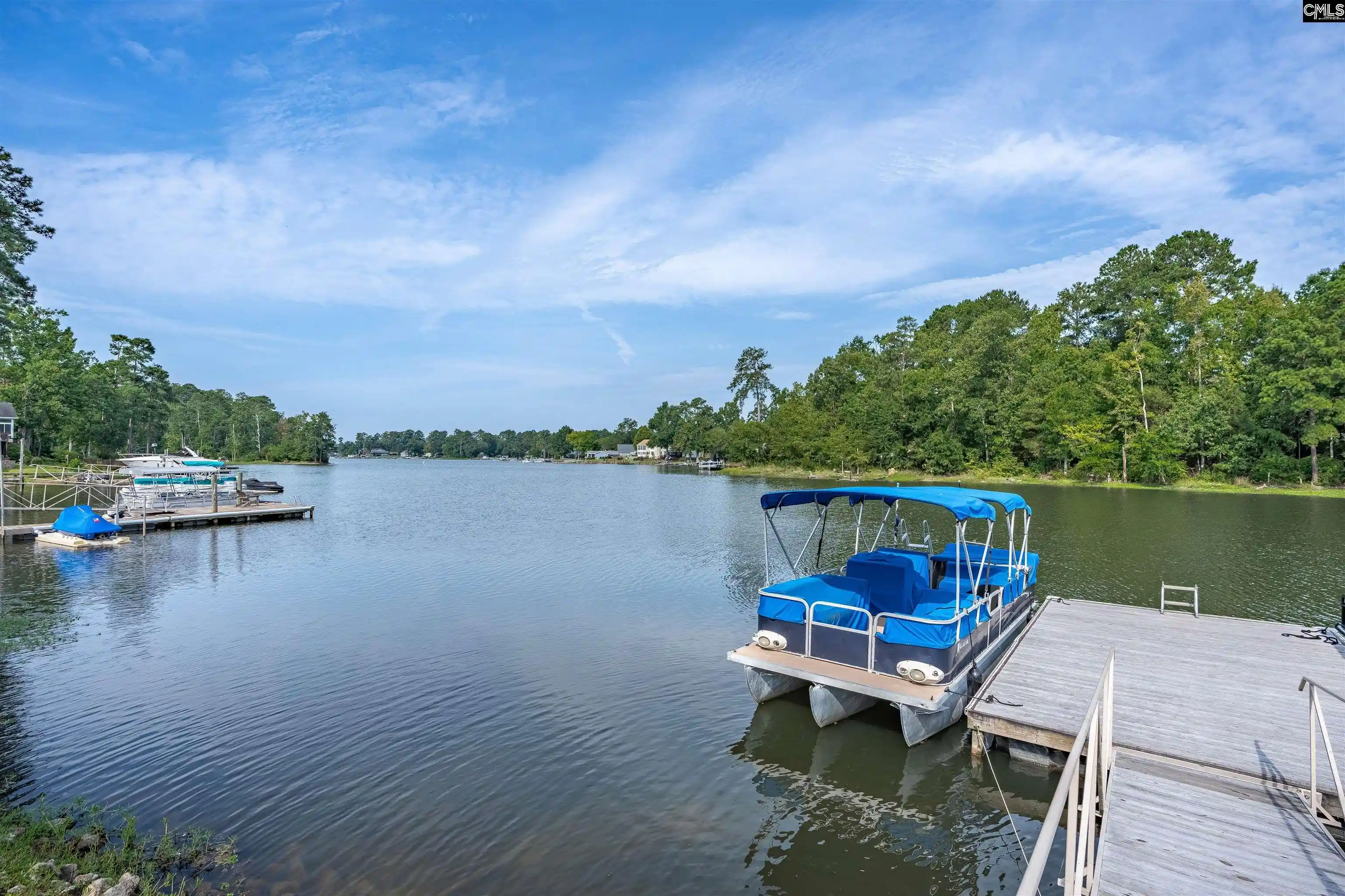 Photo 1 of Single family home for sale at 192 Palm, Chapin, SC 29036 | MLS# 641546 | Listing updated on 2026-08-26