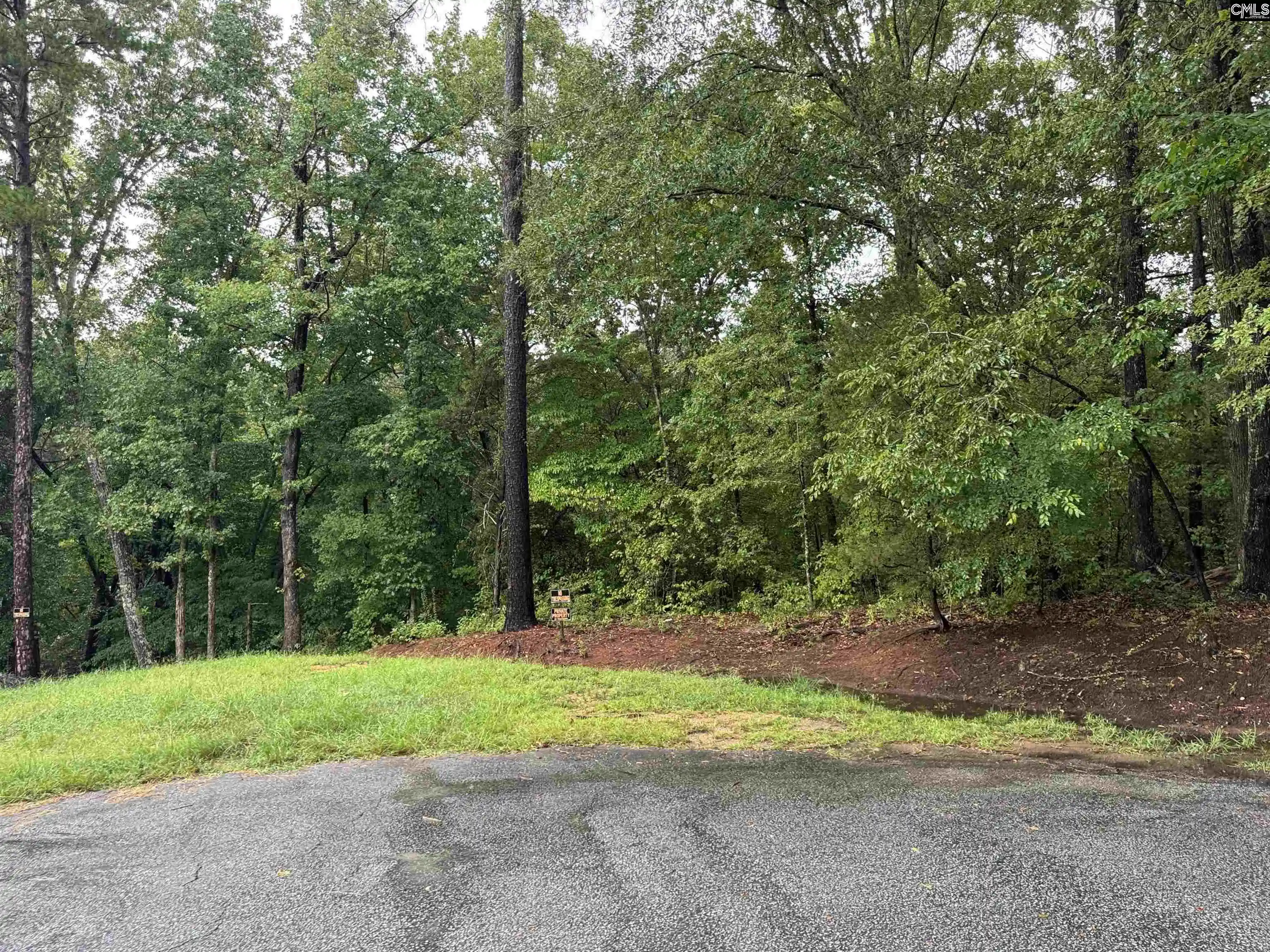 Photo 1 of Land for sale at Tbd N Wysteria, Winnsboro, SC 29180 | MLS# 641561 | Listing updated on 2026-08-25