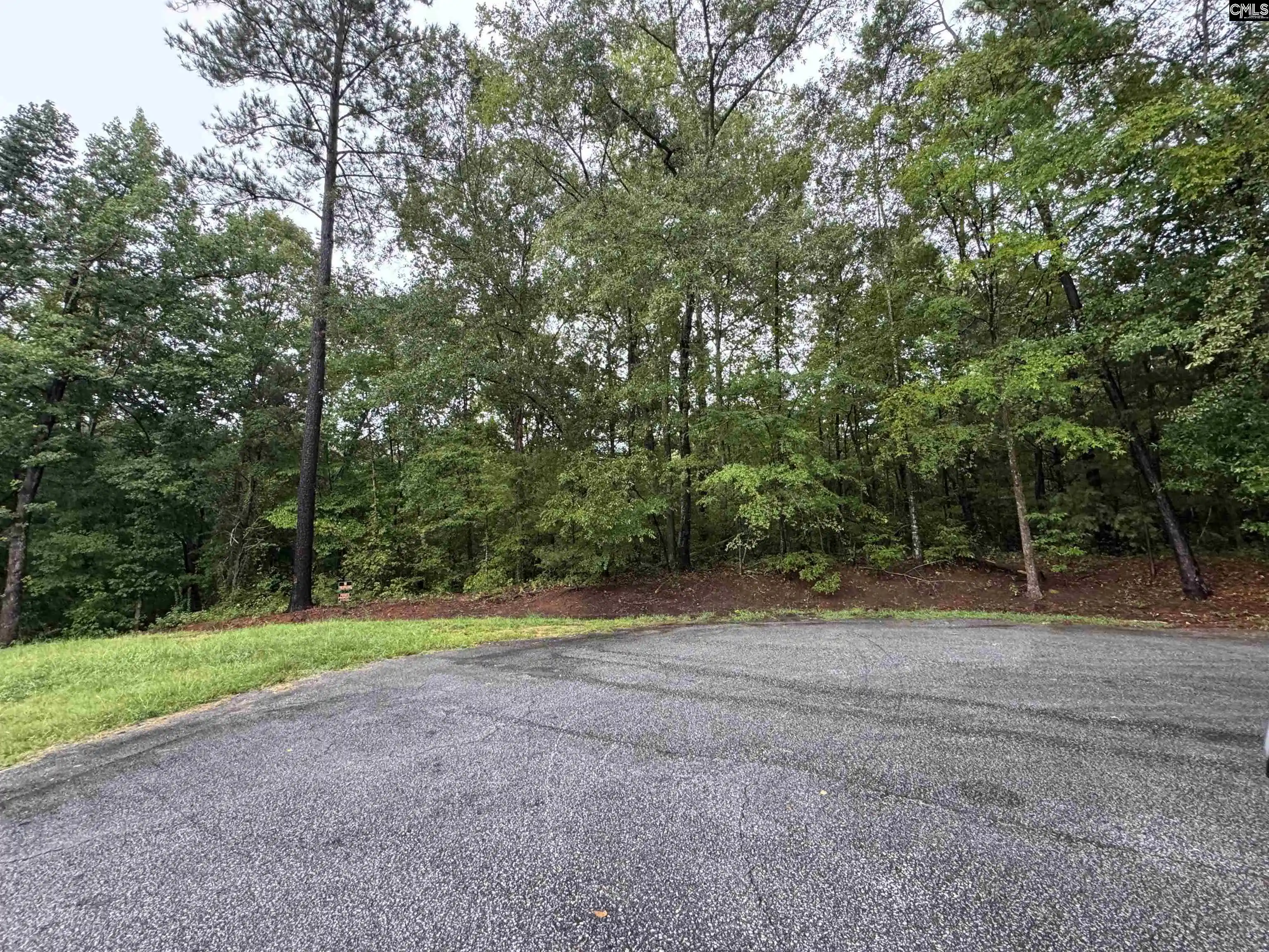 Photo 4 of Land for sale at Tbd N Wysteria, Winnsboro, SC 29180 | MLS# 641561 | Listing updated on 2026-08-25