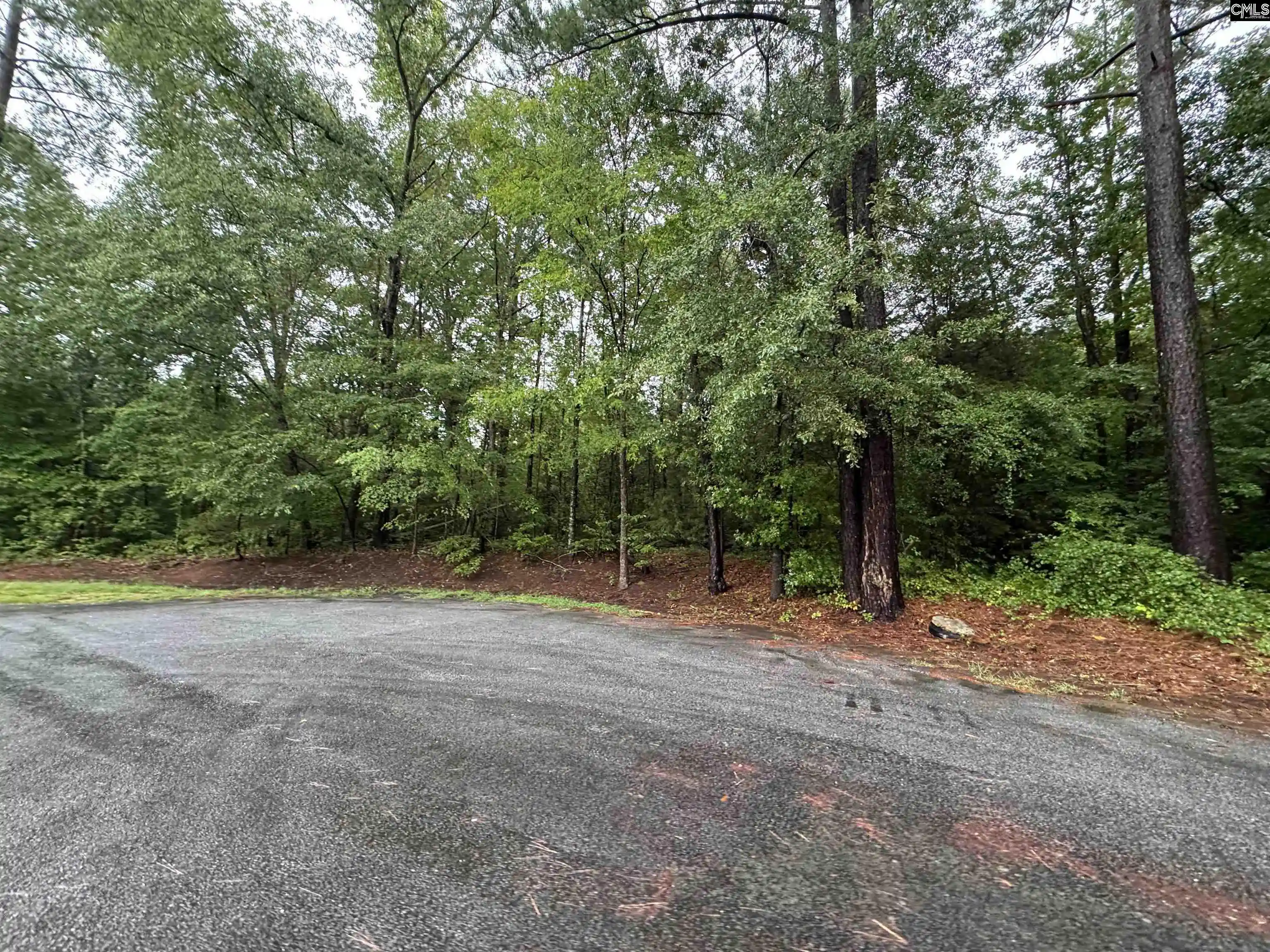 Photo 5 of Land for sale at Tbd N Wysteria, Winnsboro, SC 29180 | MLS# 641561 | Listing updated on 2026-08-25