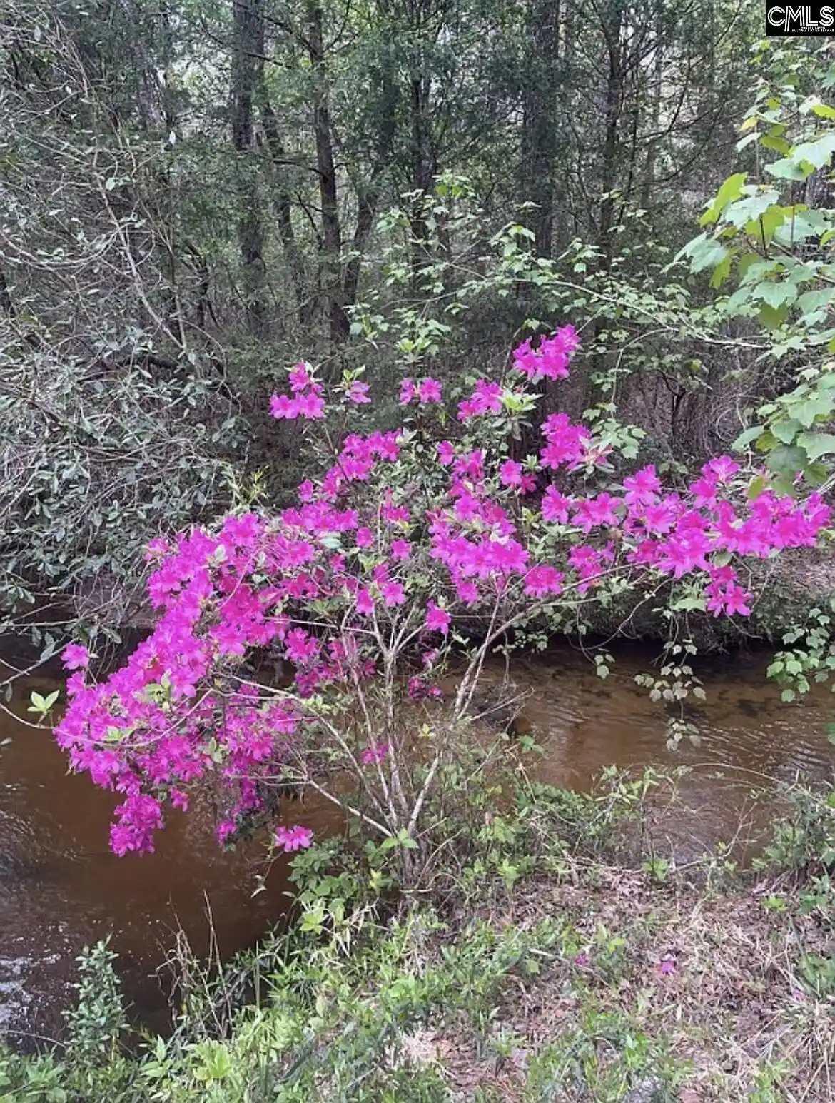 Photo 4 of Single family home for sale at 1341 Track #A, Pelion, SC 29123 | MLS# 641568 | Listing updated on 2026-08-25