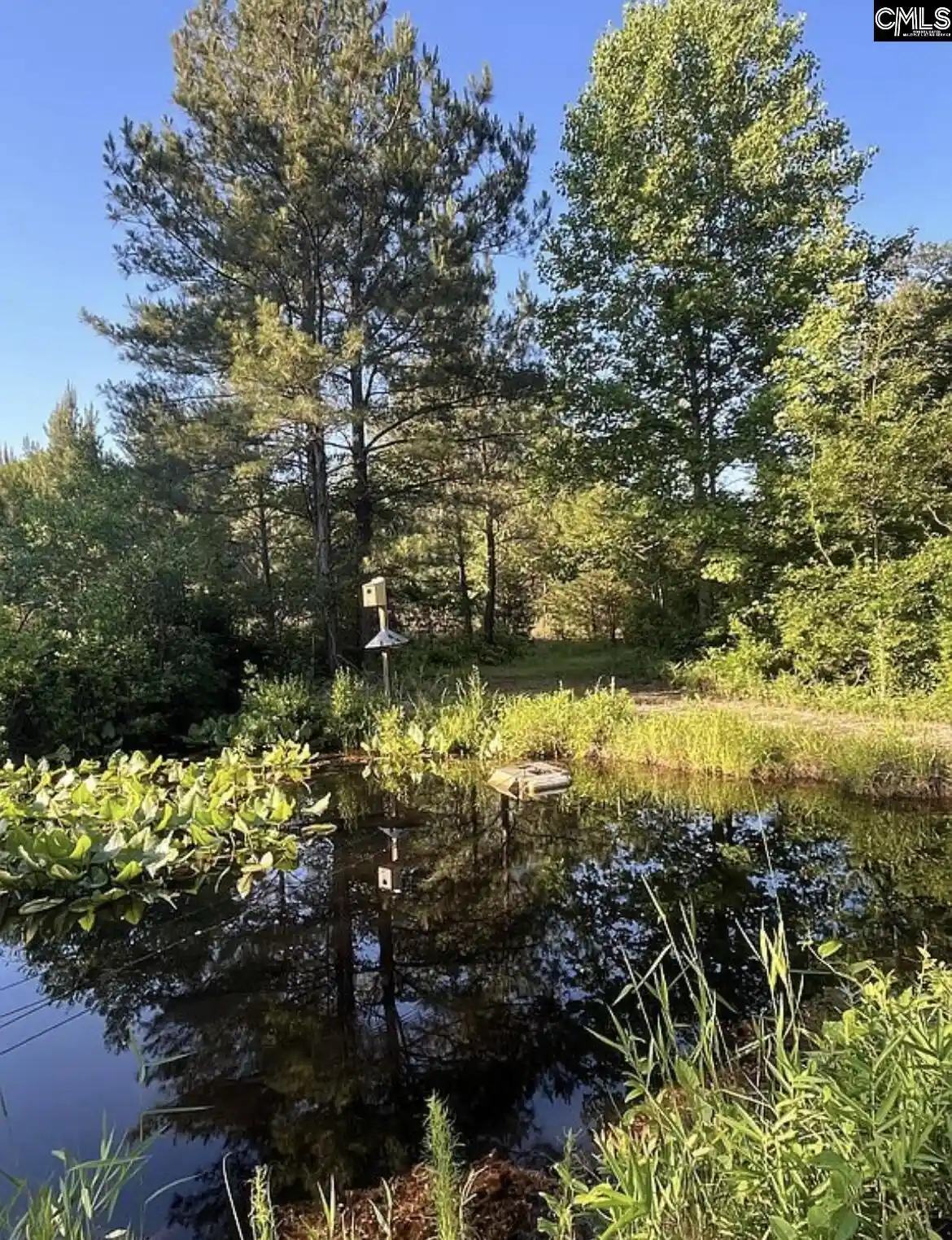 Photo 16 of Single family home for sale at 1341 Track #A, Pelion, SC 29123 | MLS# 641568 | Listing updated on 2026-08-25