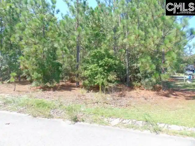 Photo 2 of Sale Pending at 113 Arrowpoint, Gaston, SC 29053 | MLS# 641584 | Listing updated on 2026-09-04