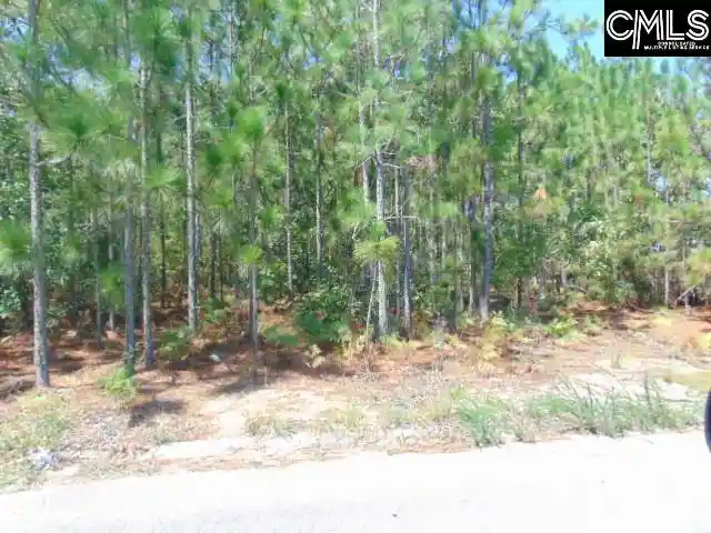 Photo 3 of Sale Pending at 113 Arrowpoint, Gaston, SC 29053 | MLS# 641584 | Listing updated on 2026-09-04
