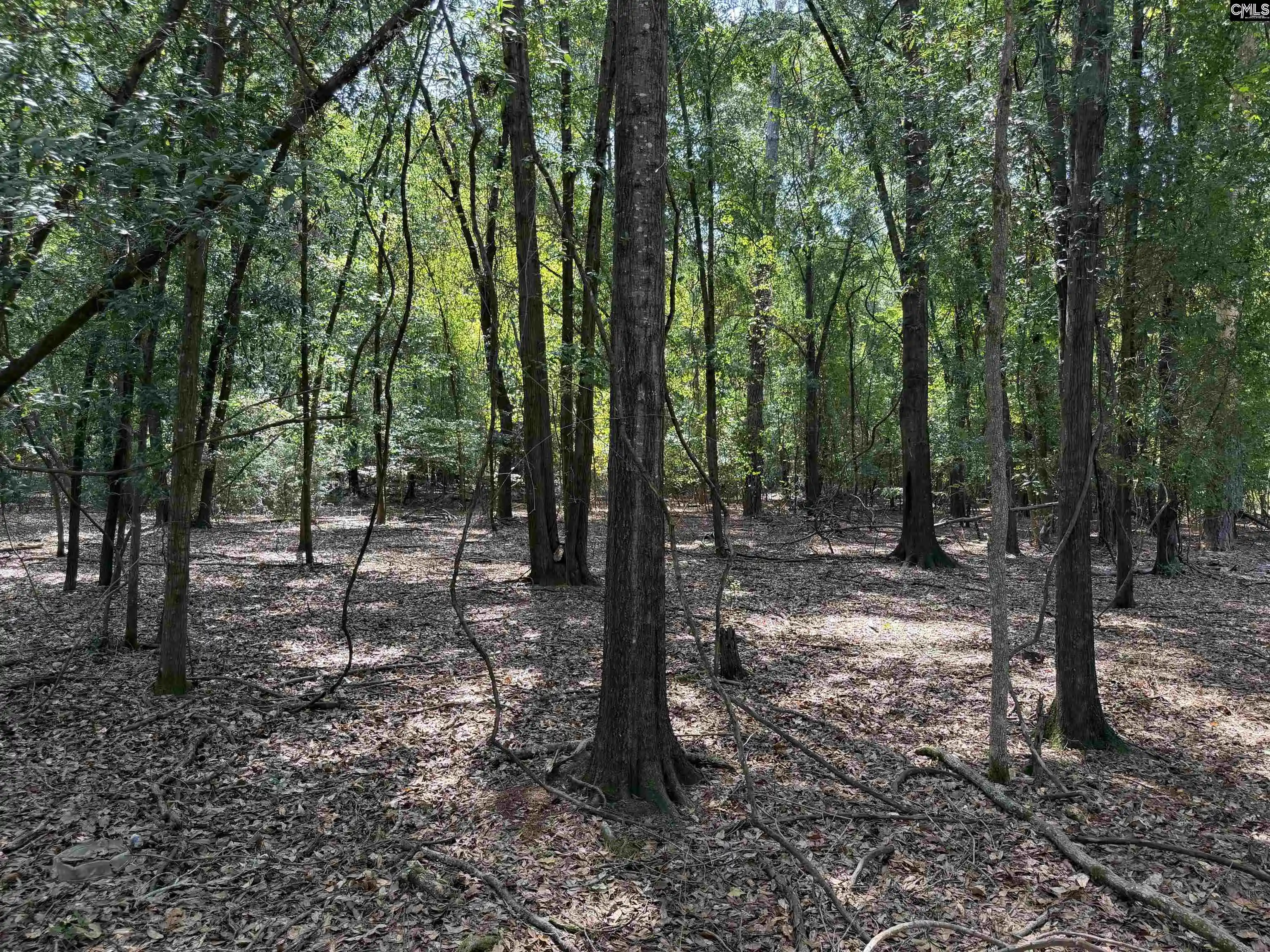 Photo 2 of Land for sale at 2361 Shedrick, Camden, SC 29020 | MLS# 641613 | Listing updated on 2026-08-26